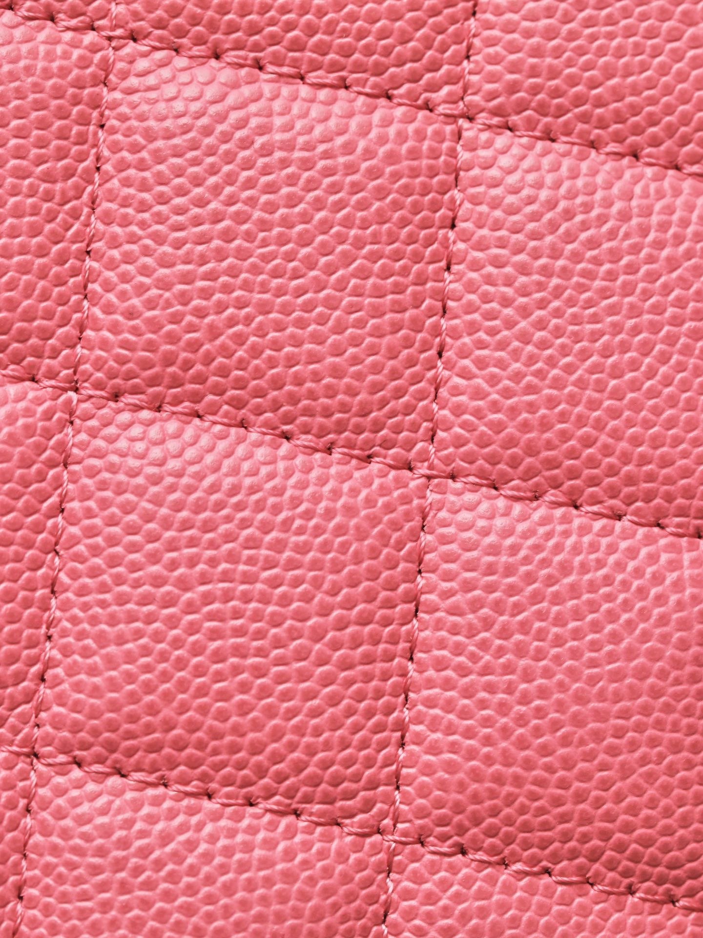 CHANEL classics woc flap bag