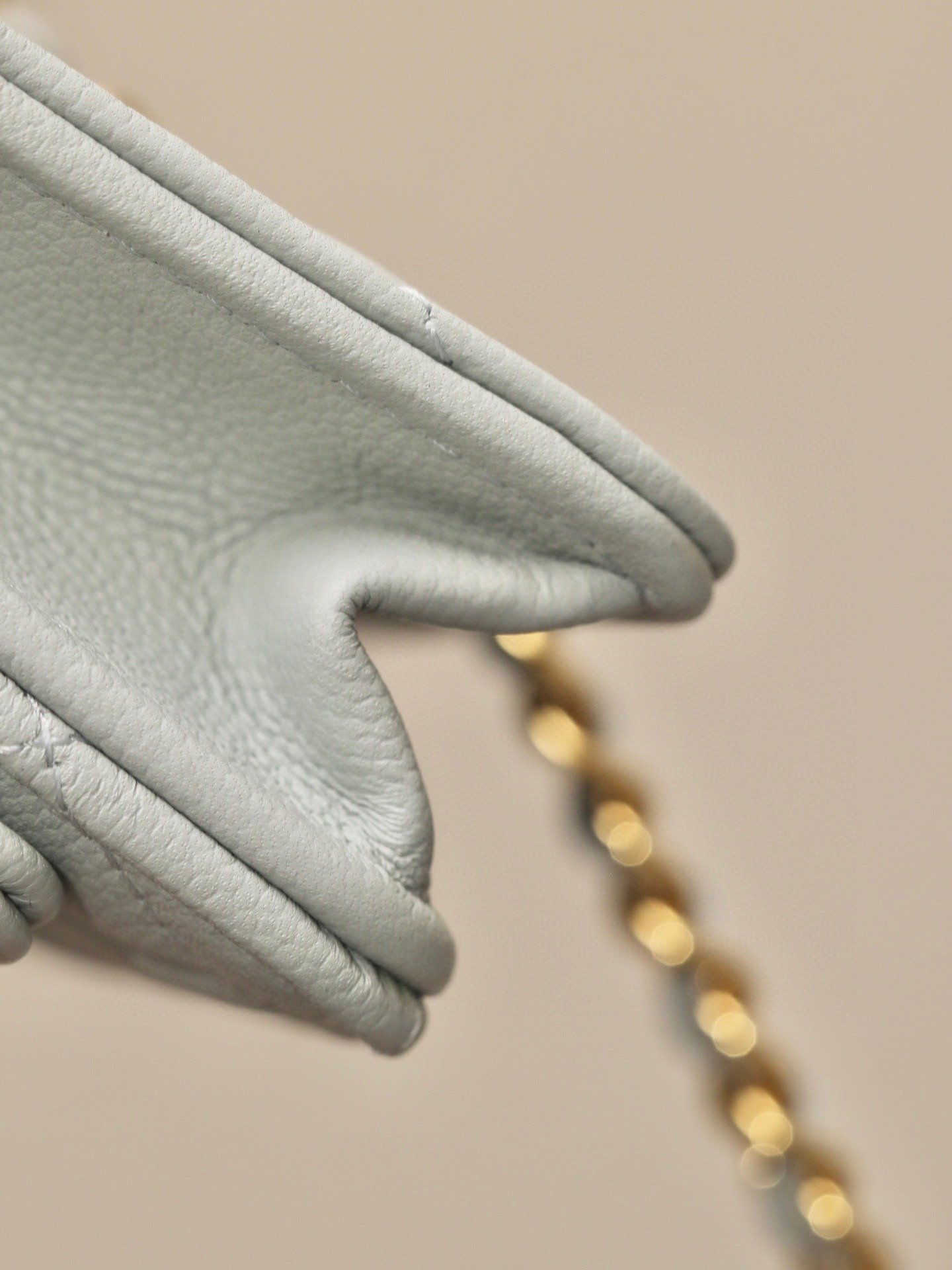 CHANEL classics woc flap bag