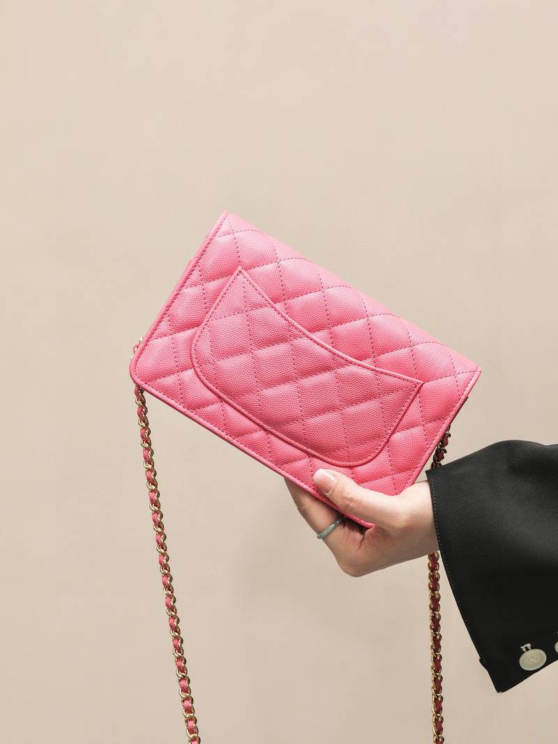 CHANEL classics woc flap bag
