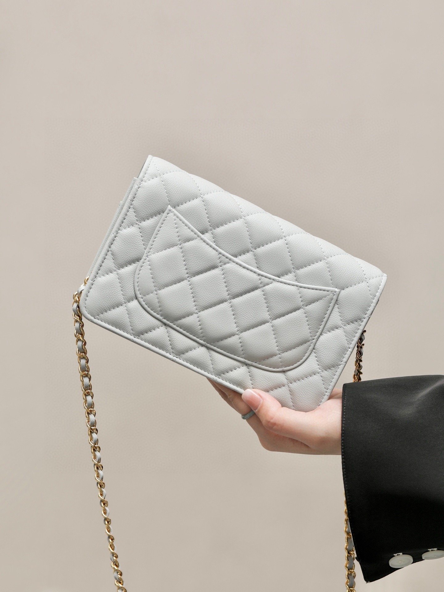 CHANEL classics woc flap bag