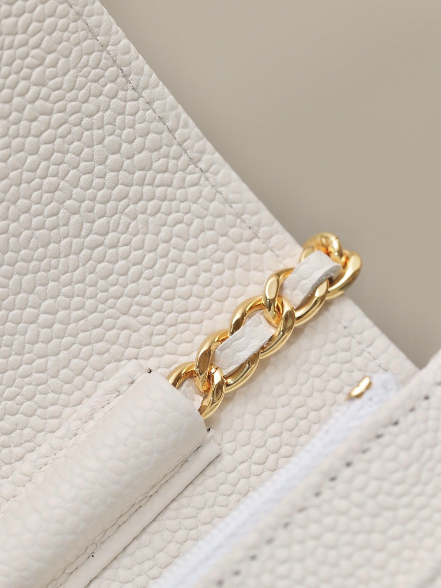 CHANEL classics woc flap bag