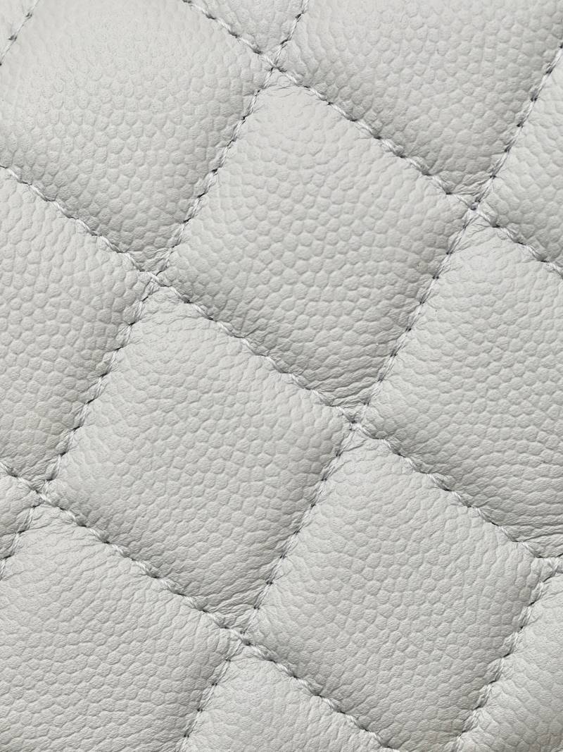 CHANEL classics woc flap bag