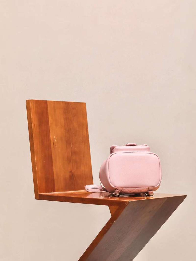 CHANEL duma backpack