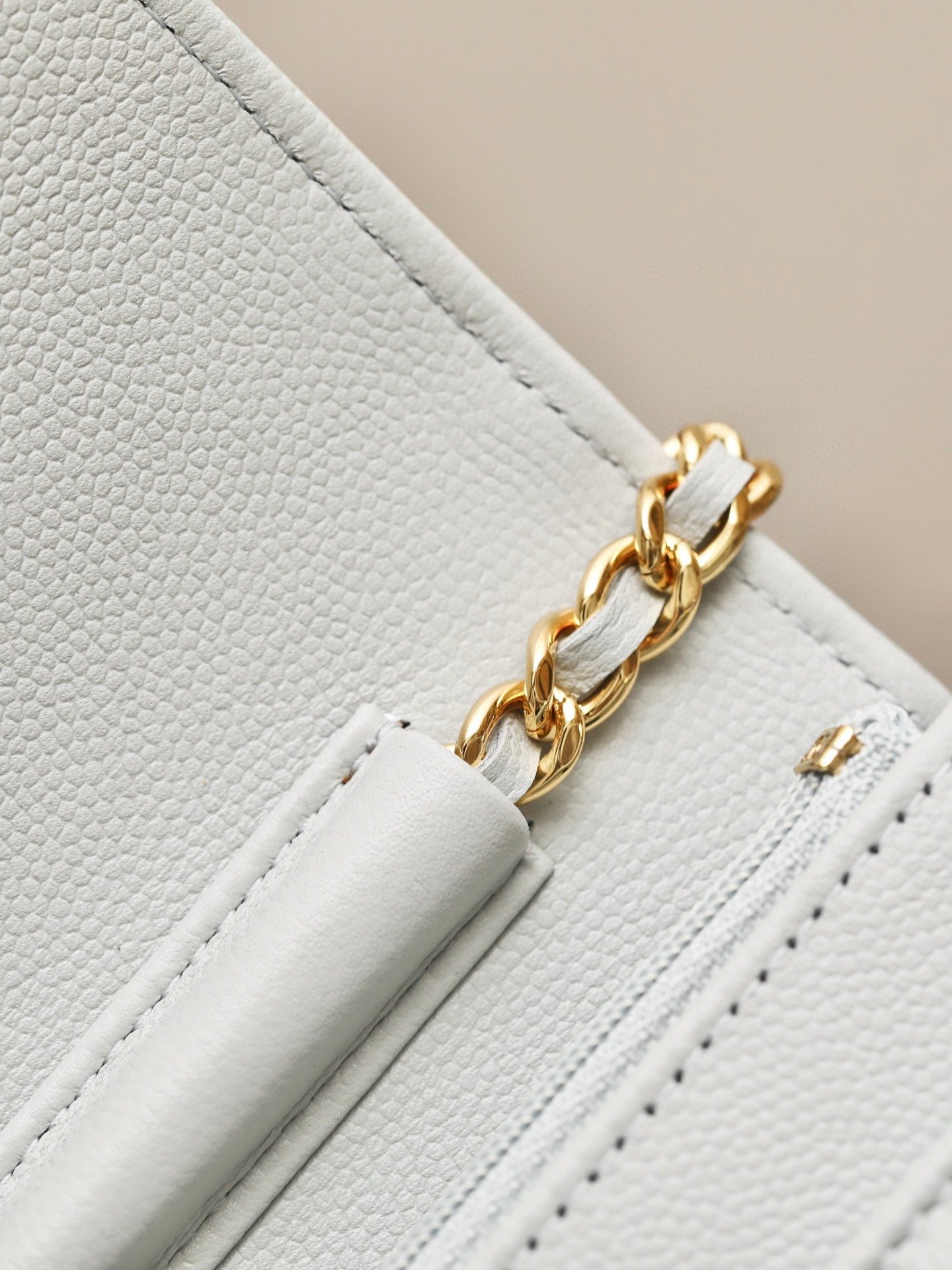 CHANEL classics woc flap bag