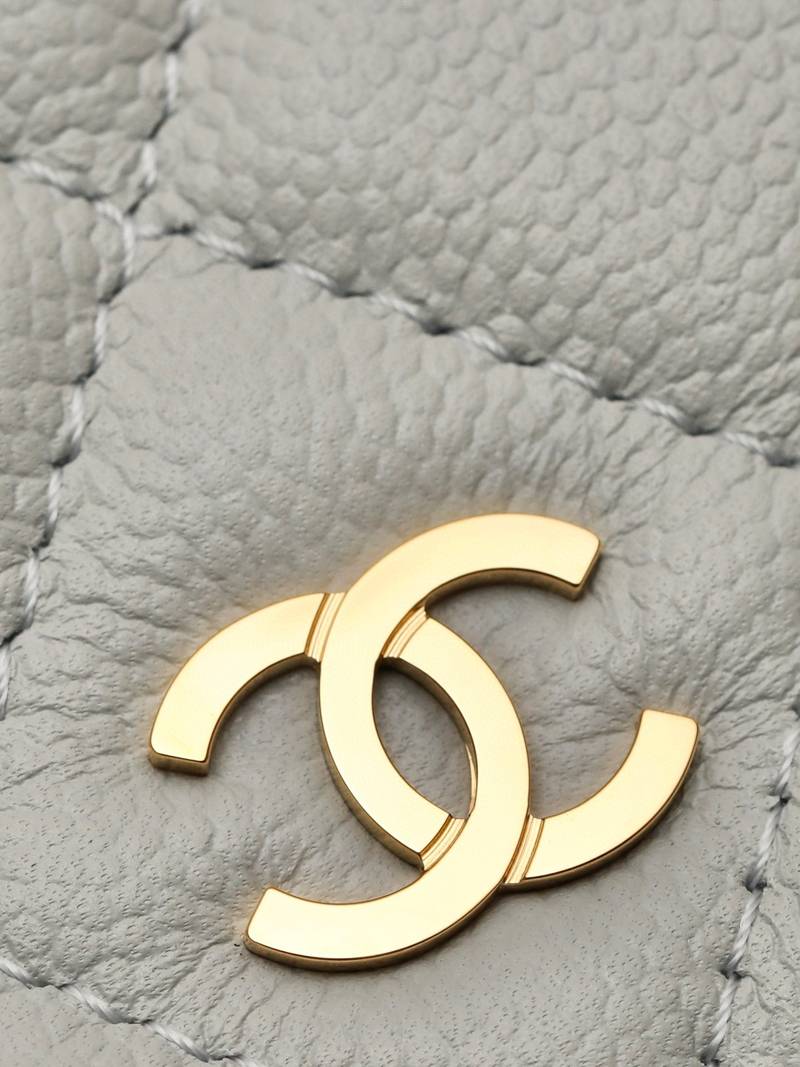 CHANEL classics woc flap bag