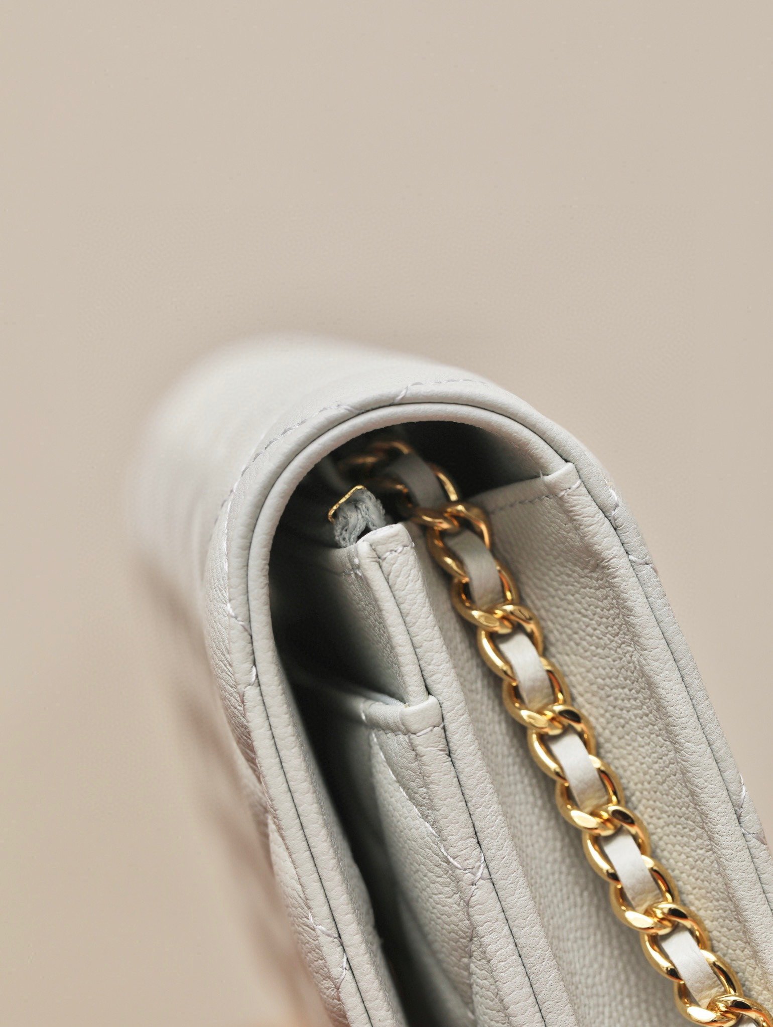 CHANEL classics woc flap bag