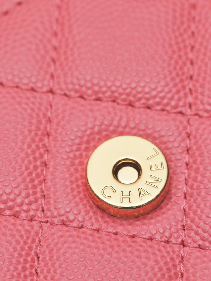 CHANEL classics woc flap bag