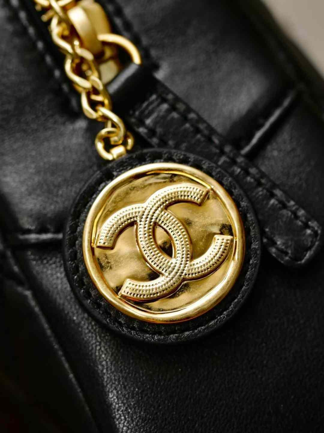 CHANEL Camera Case