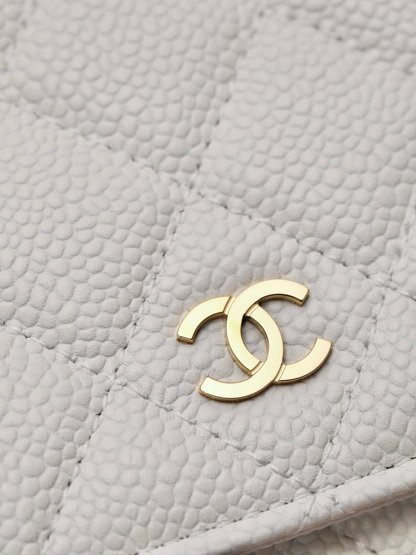 CHANEL classics woc flap bag
