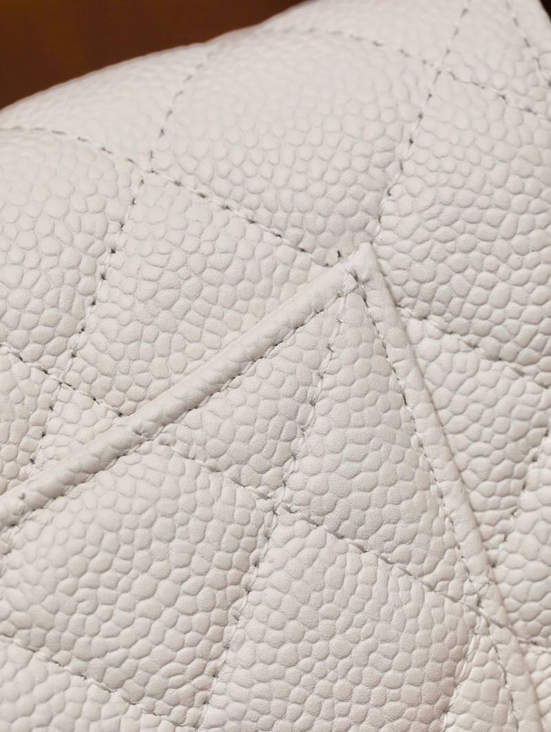 CHANEL classics woc flap bag