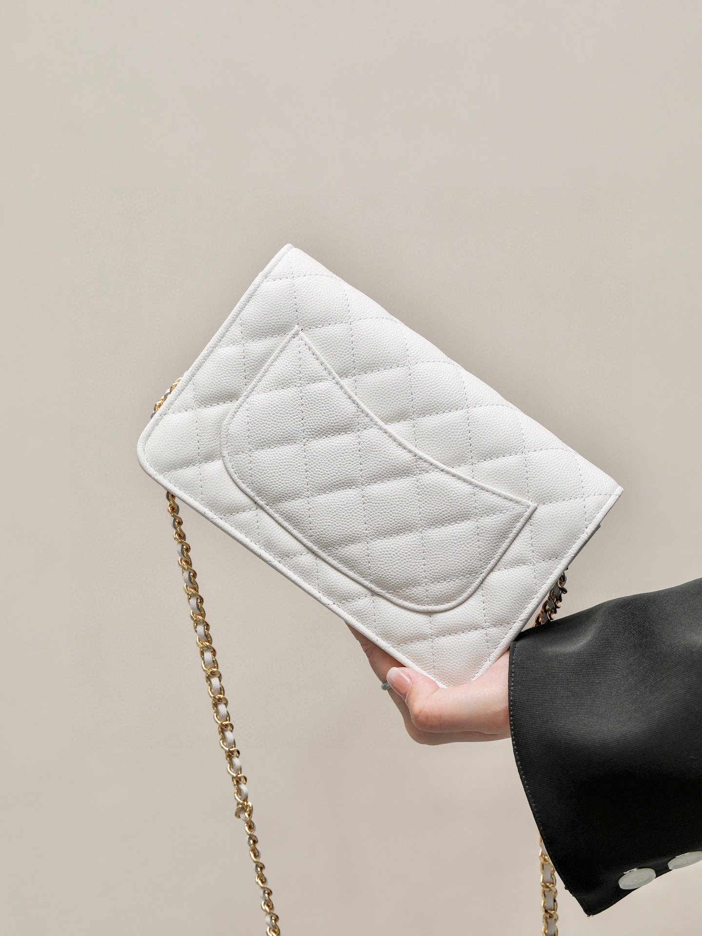 CHANEL classics woc flap bag