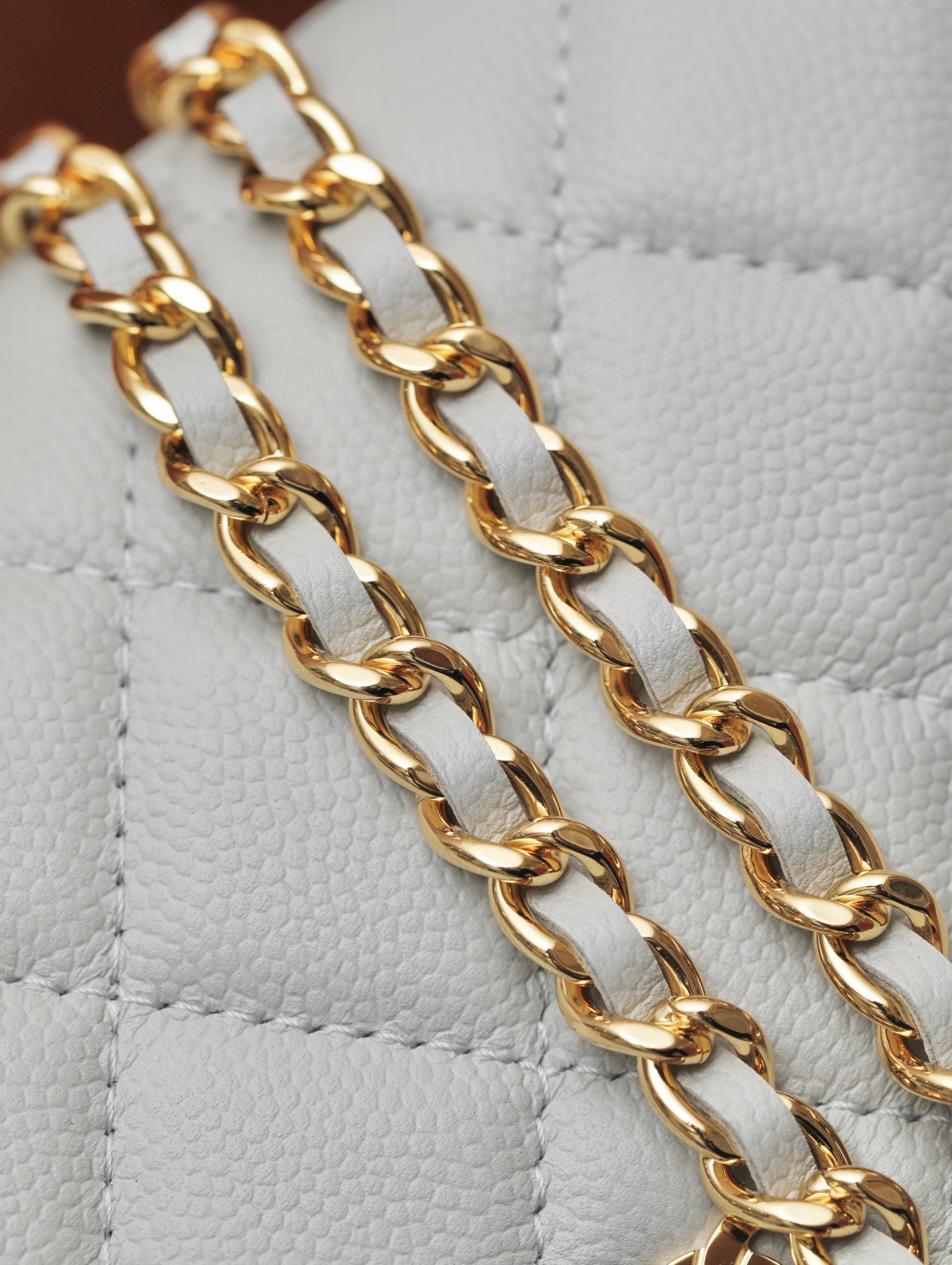 CHANEL classics woc flap bag