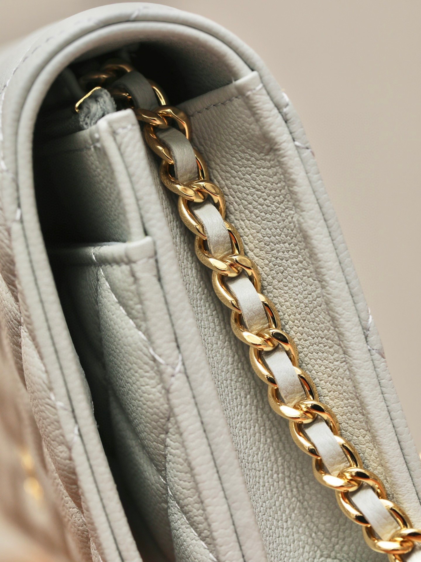 CHANEL classics woc flap bag