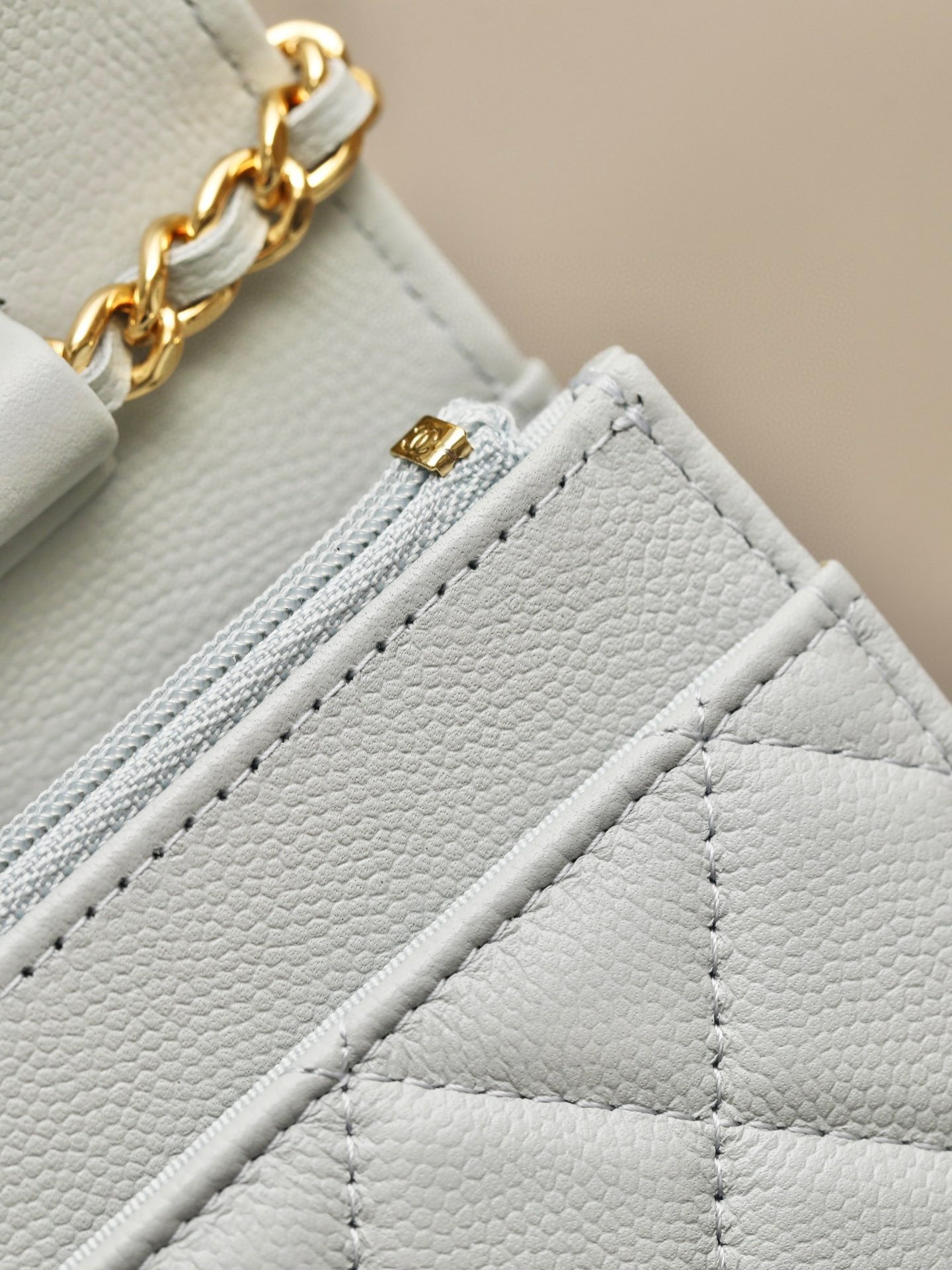 CHANEL classics woc flap bag