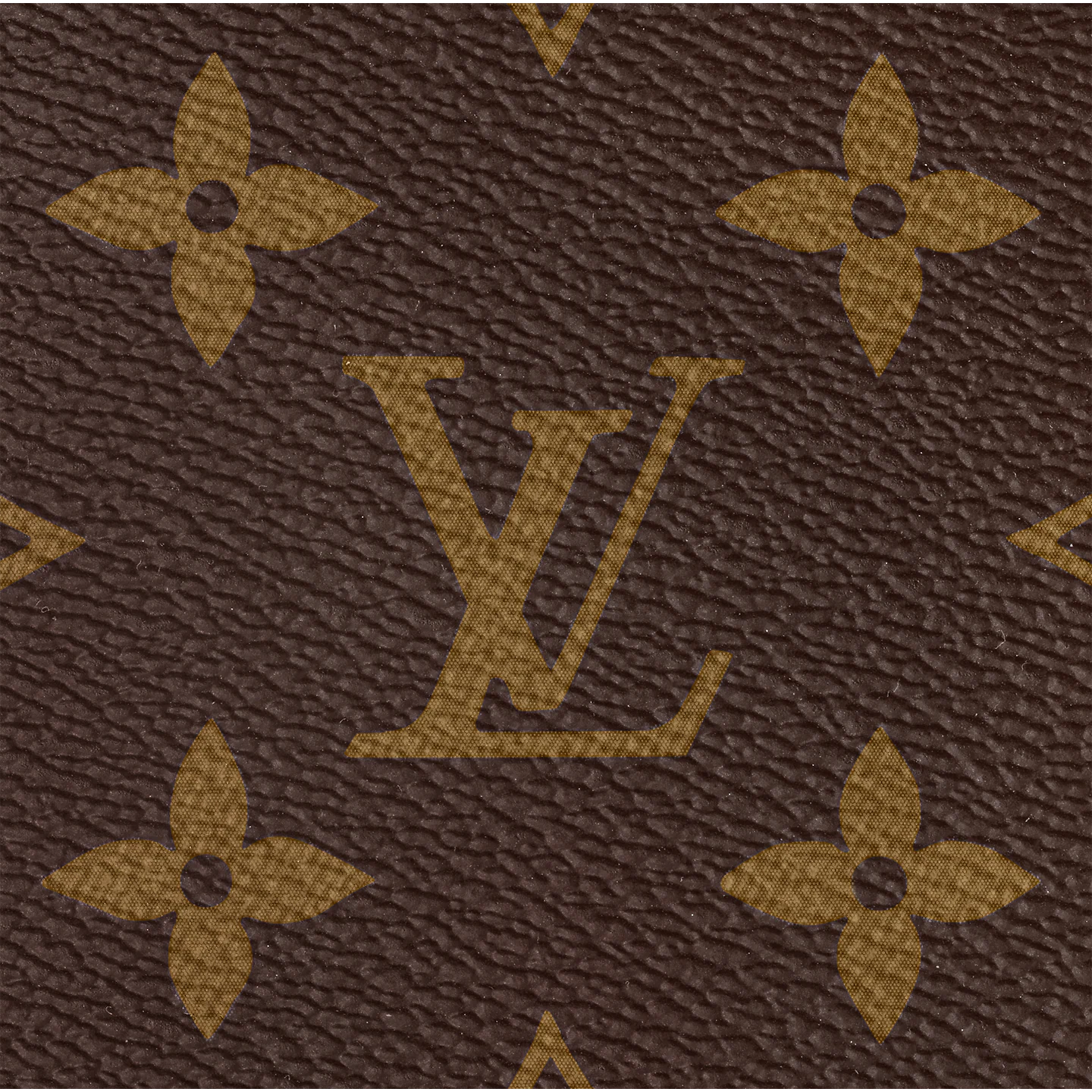 Louis Vuitton / LV Speedy 25 M41109