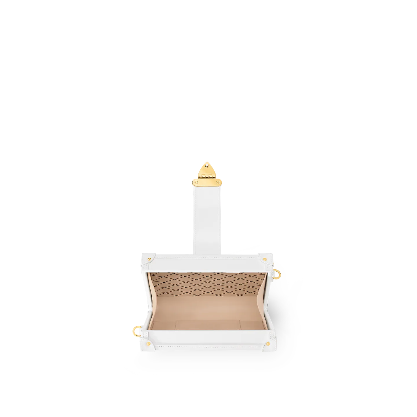 Louis Vuitton / LV Petite Malle M23541