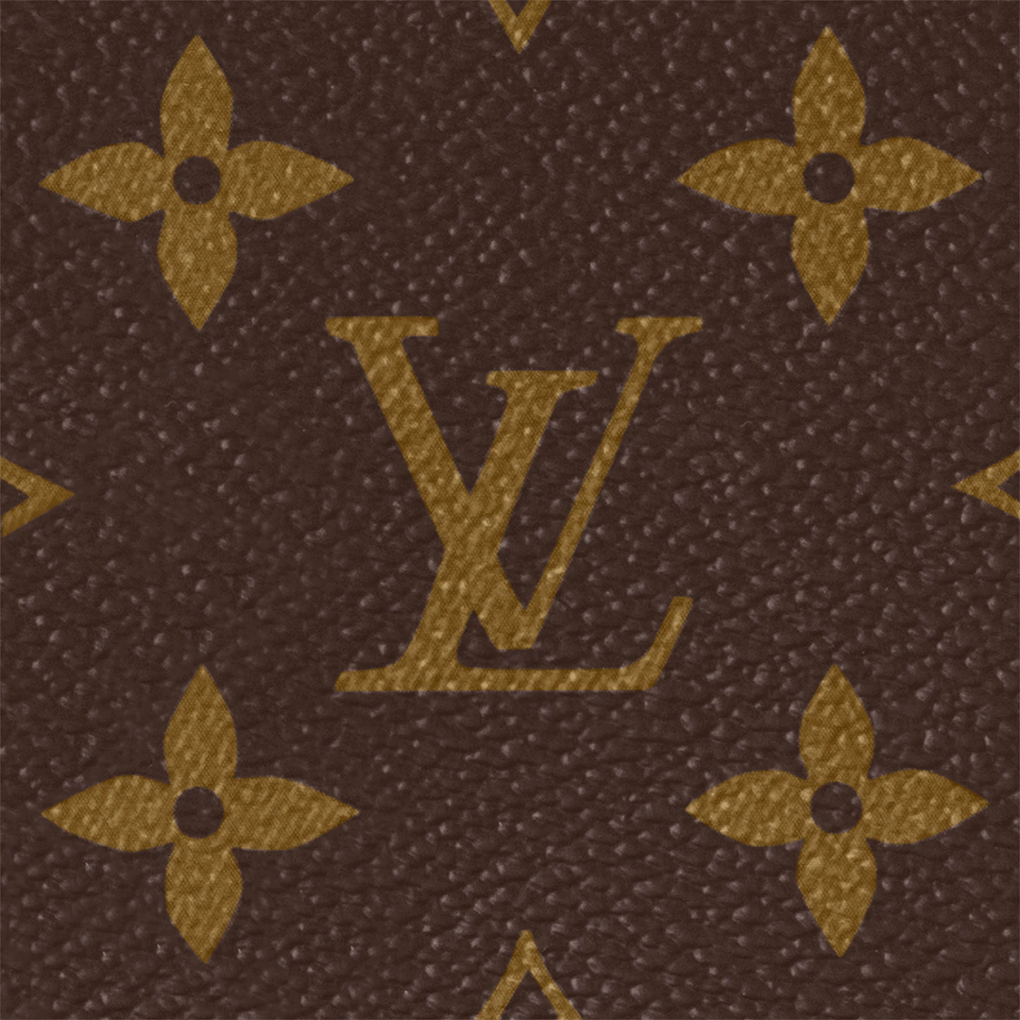 Louis Vuitton / LV Petit Sac Plat M81295