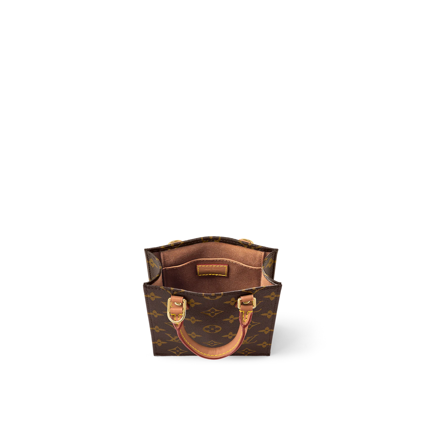 Louis Vuitton / LV Petit Sac Plat M81295