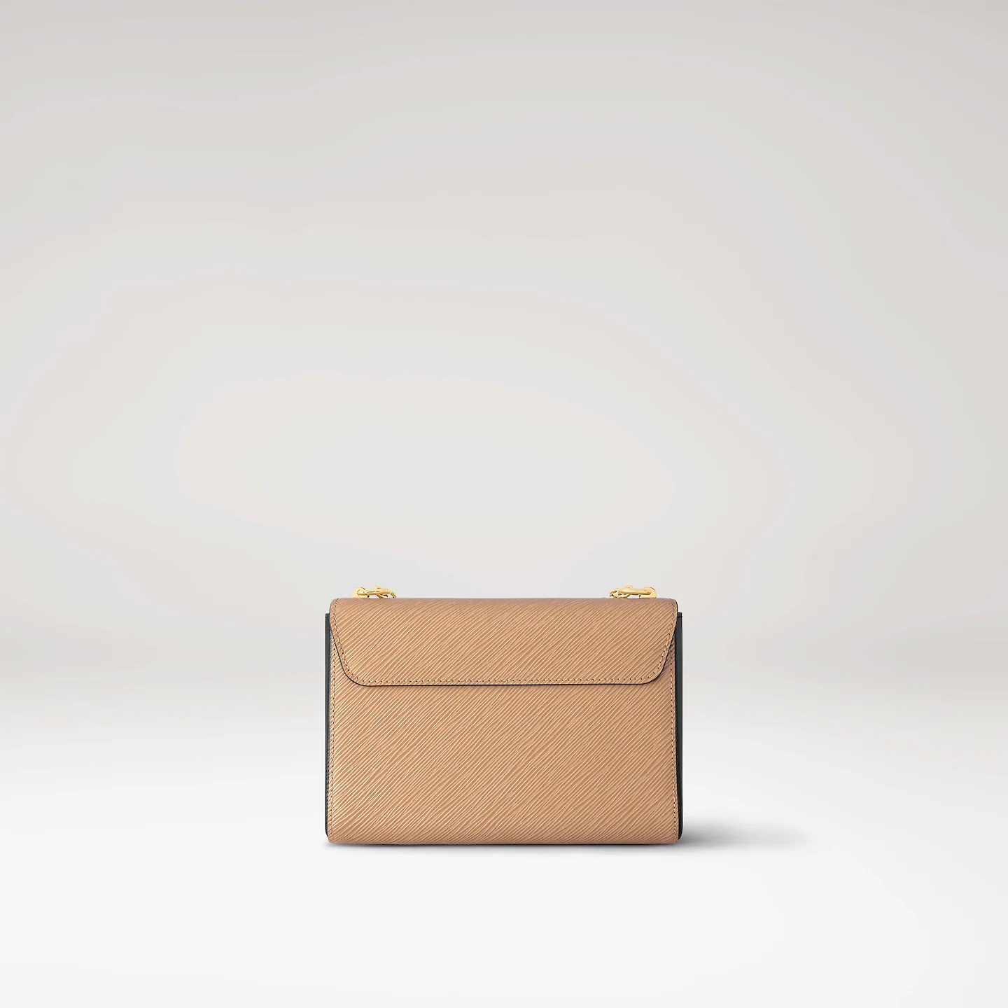 Louis Vuitton / LV Twist MM M21120