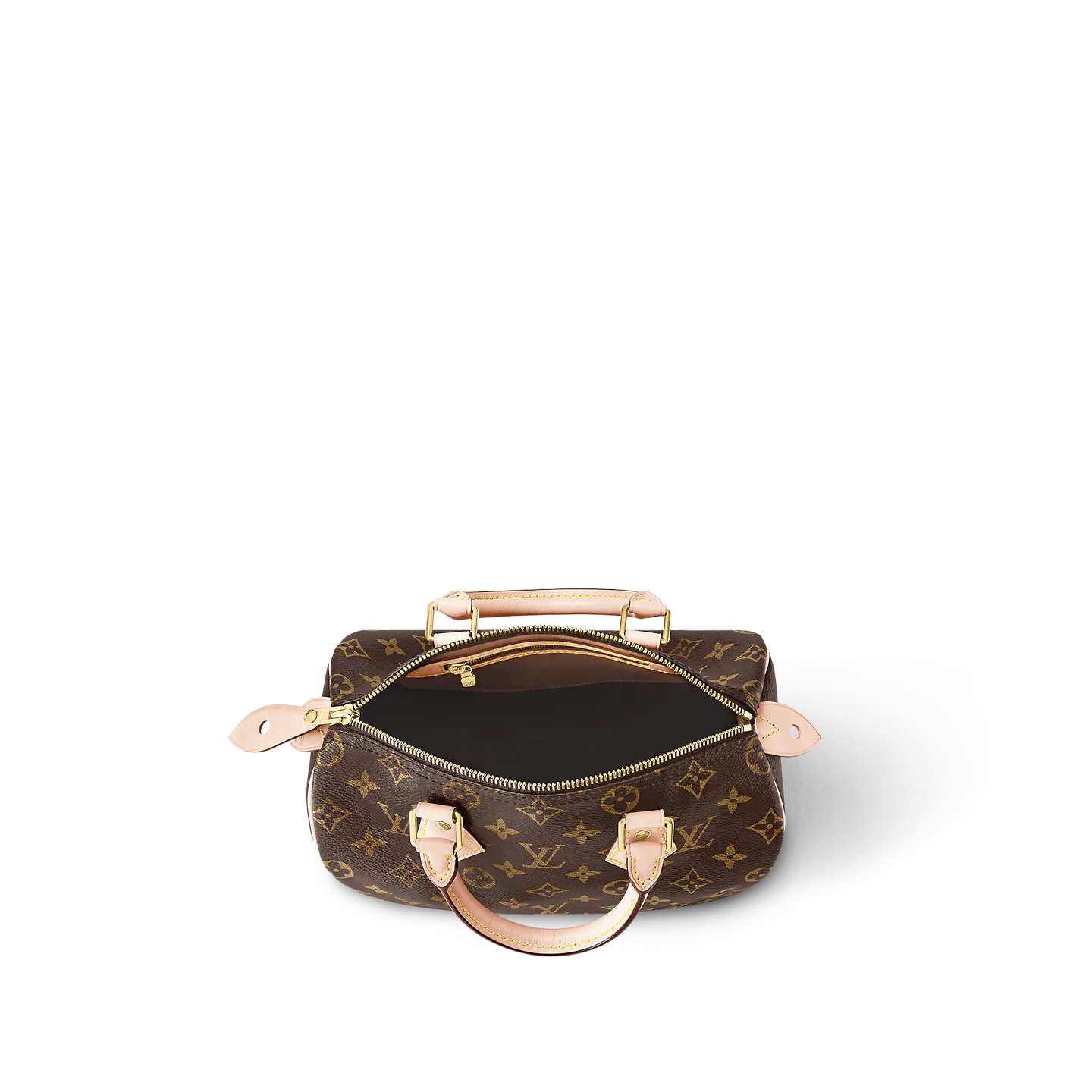 Louis Vuitton / LV Speedy 25 M41109