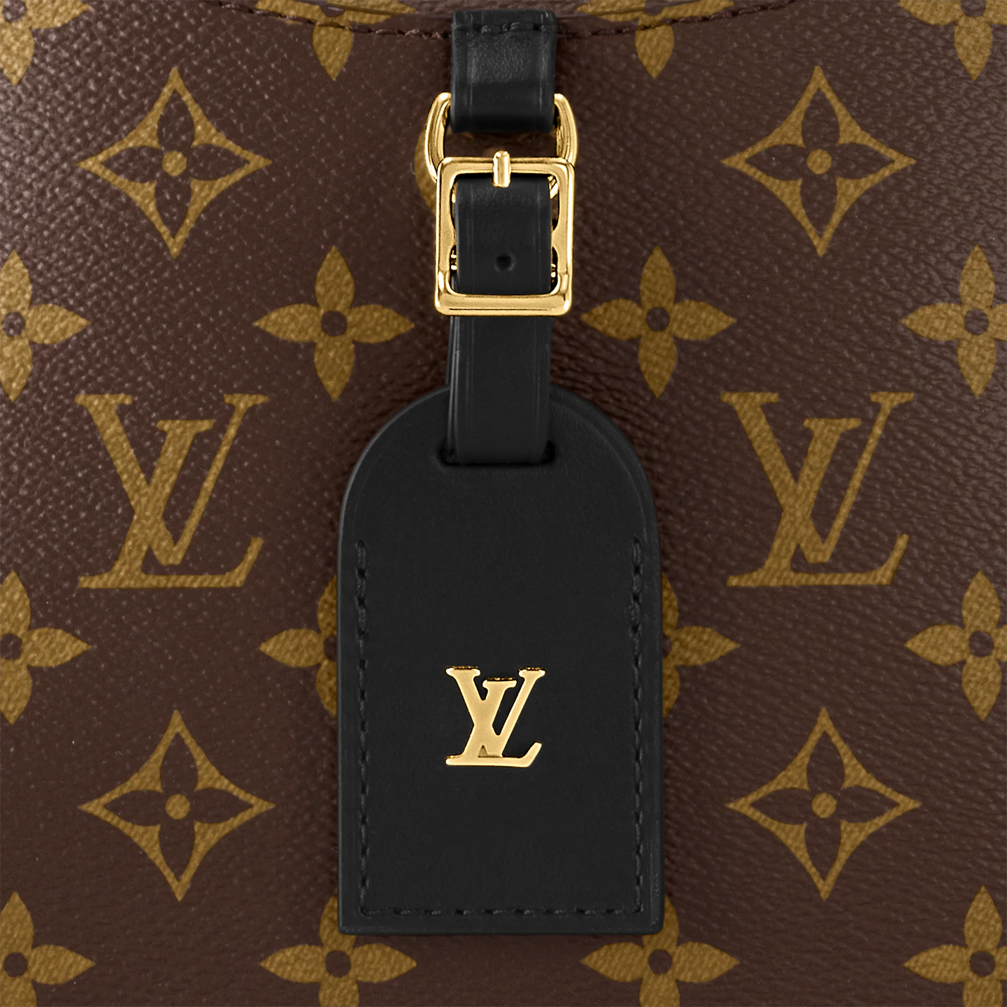 Louis Vuitton / LV Odéon PM M45353
