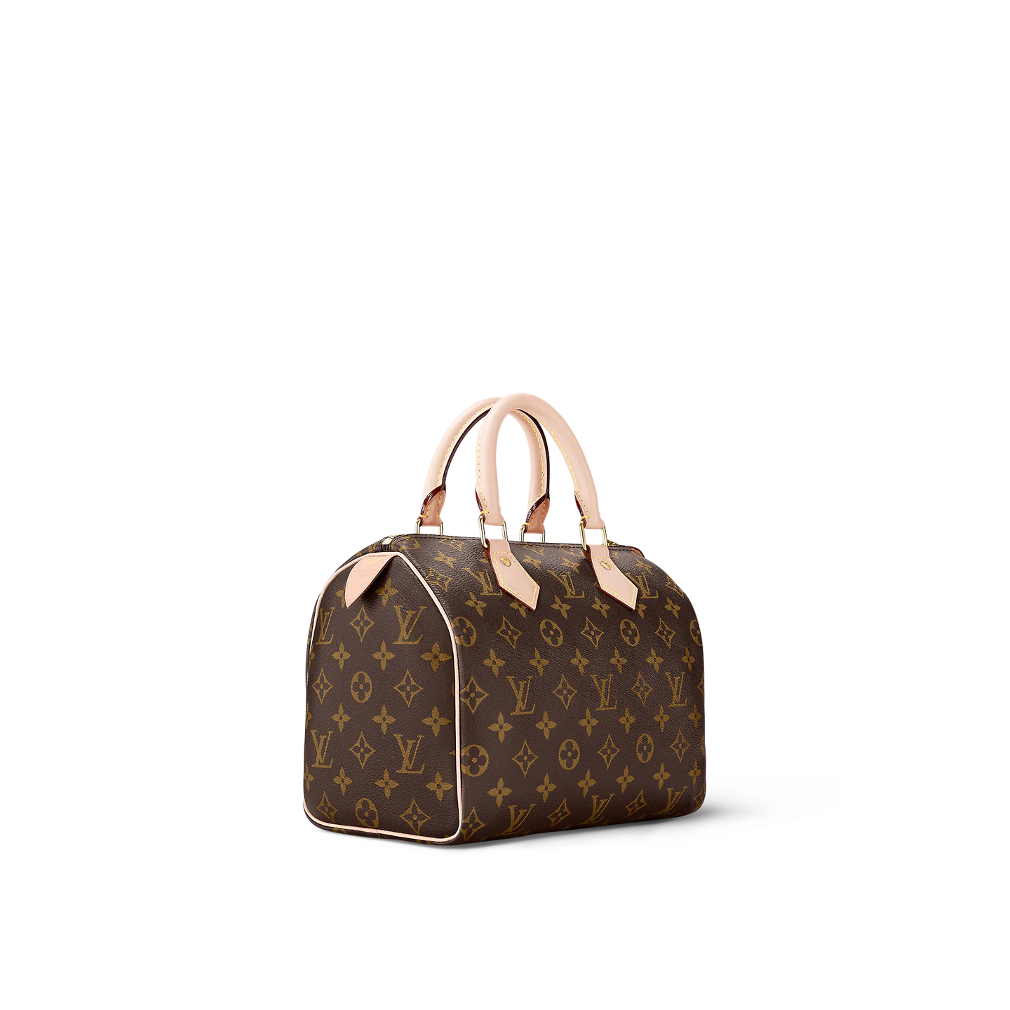 Louis Vuitton / LV Speedy 25 M41109