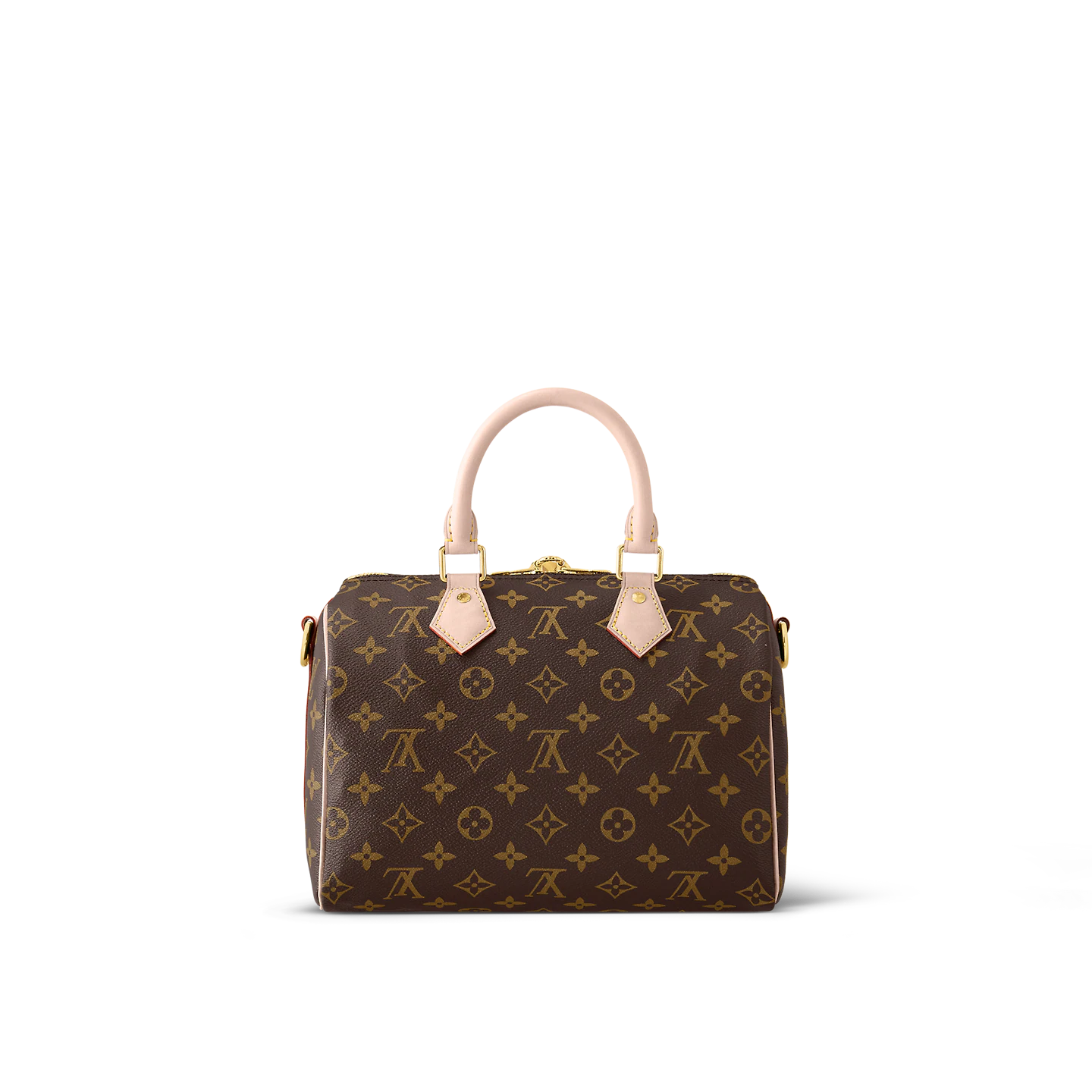 Louis Vuitton / LV Speedy Bandoulière 25 M41113