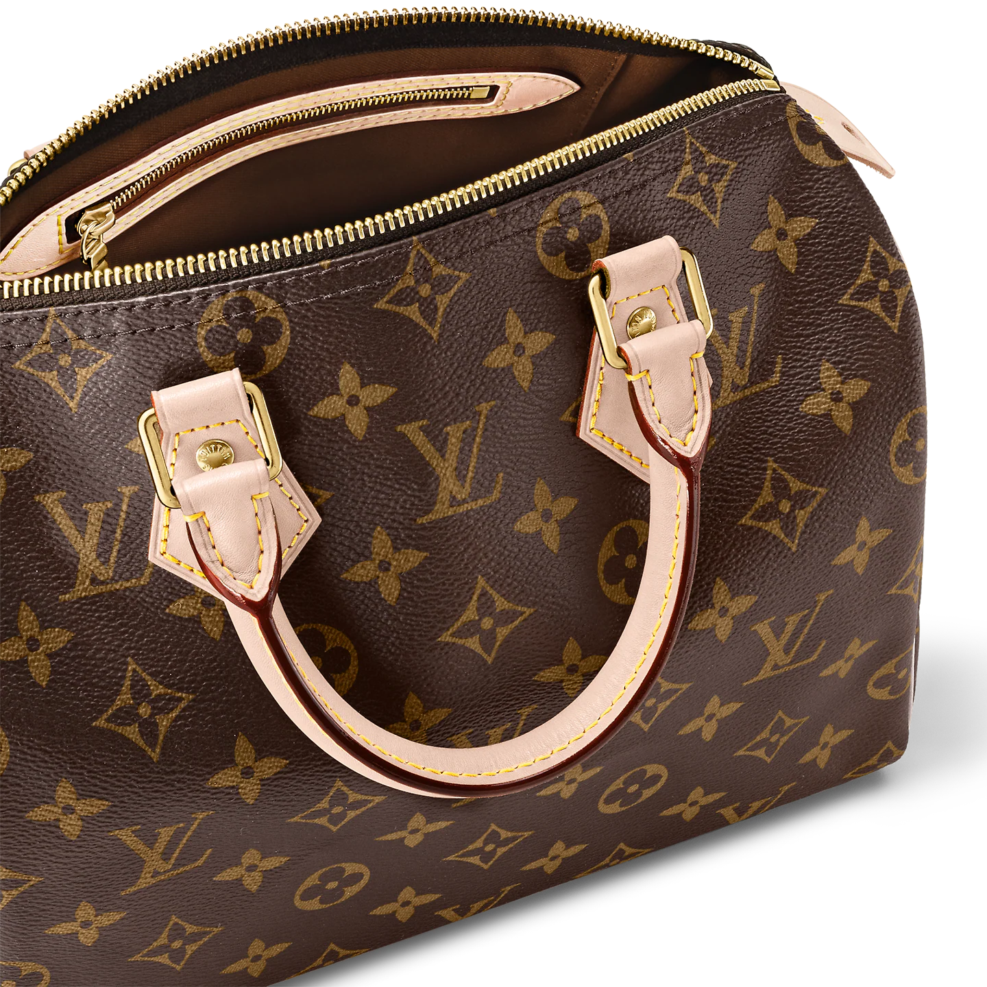Louis Vuitton / LV Speedy 25 M41109