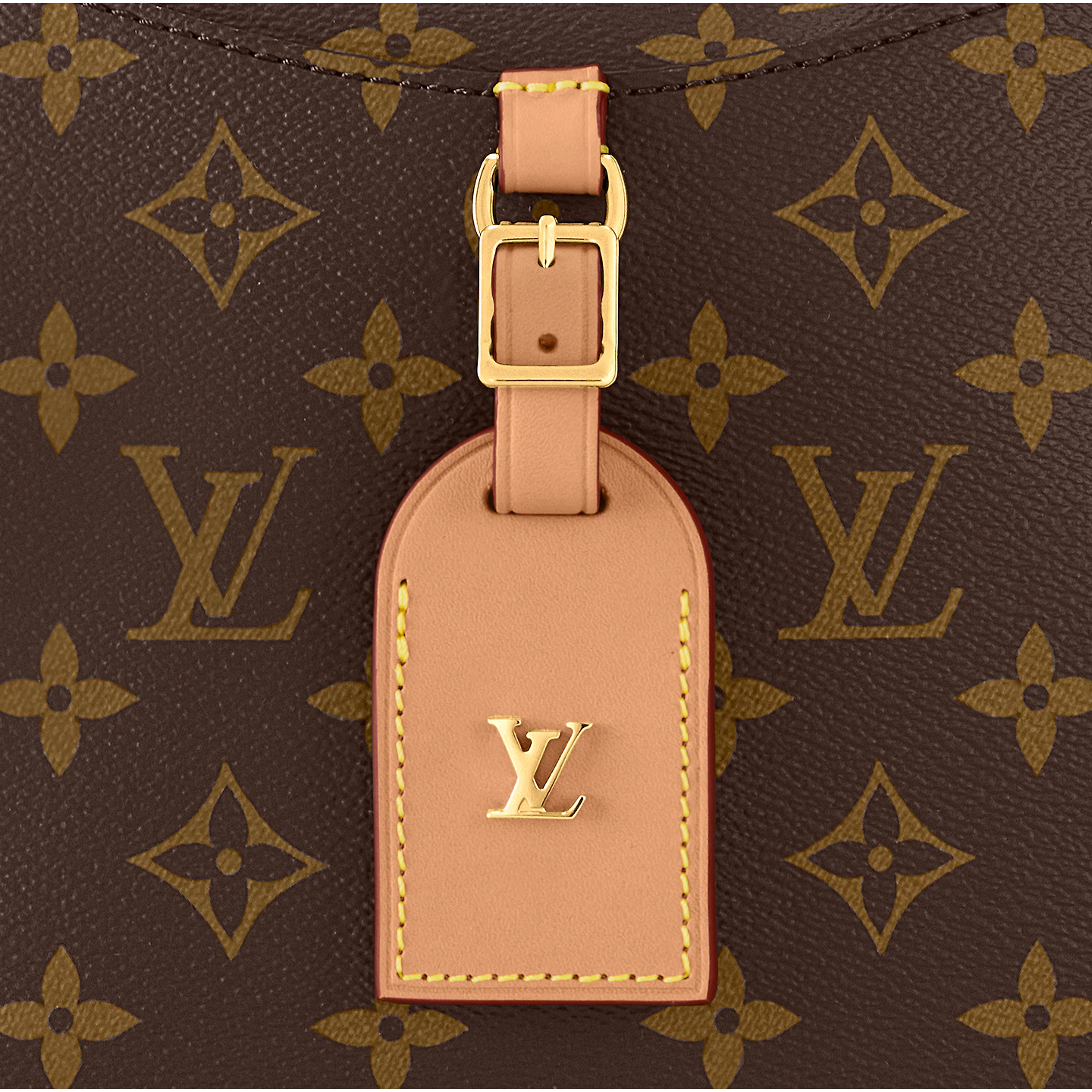 Louis Vuitton / LV Odéon MM M45355