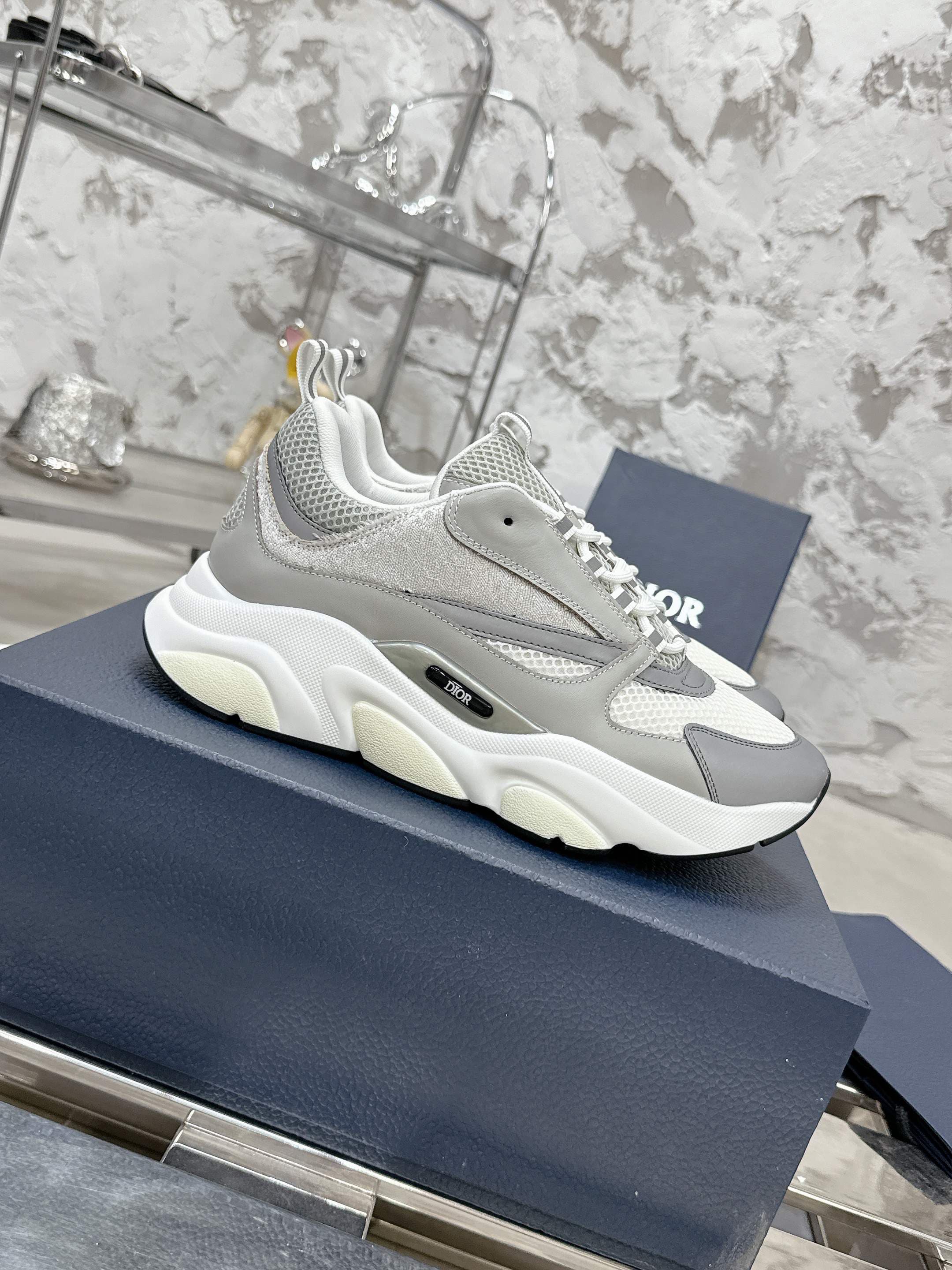 Dior B22 Sport shoes