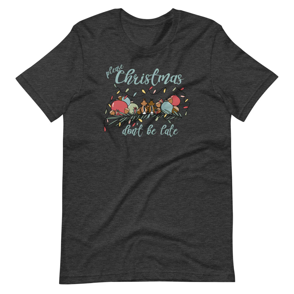 Chip and Dale Christmas T-Shirt Please Christmas Don't Be Late Chipmunk Song T-shirt
