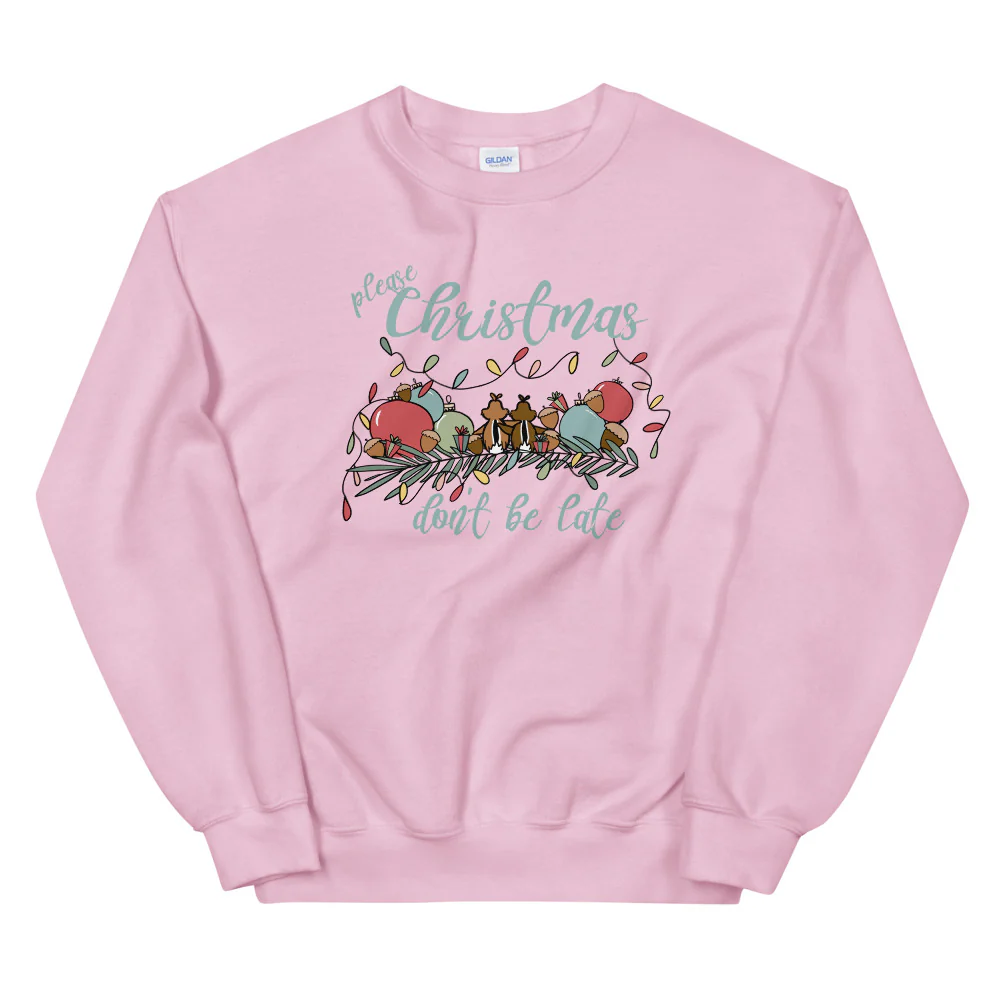 Chip and Dale Christmas Sweatshirt Please Christmas Don't Be Late Chipmunk Song Sweatshirt