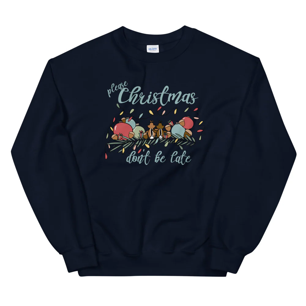 Chip and Dale Christmas Sweatshirt Please Christmas Don't Be Late Chipmunk Song Sweatshirt