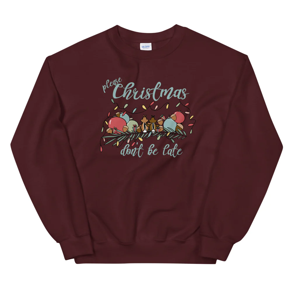 Chip and Dale Christmas Sweatshirt Please Christmas Don't Be Late Chipmunk Song Sweatshirt