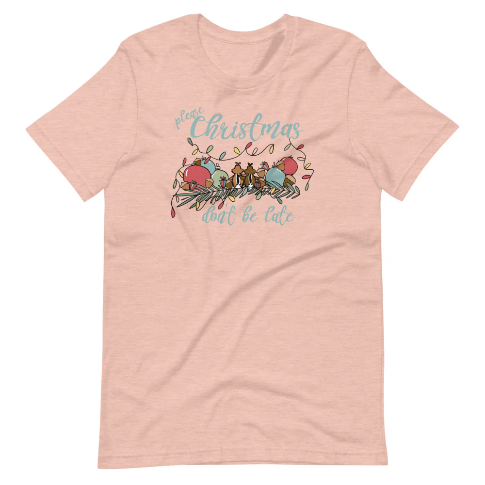 Chip and Dale Christmas T-Shirt Please Christmas Don't Be Late Chipmunk Song T-shirt