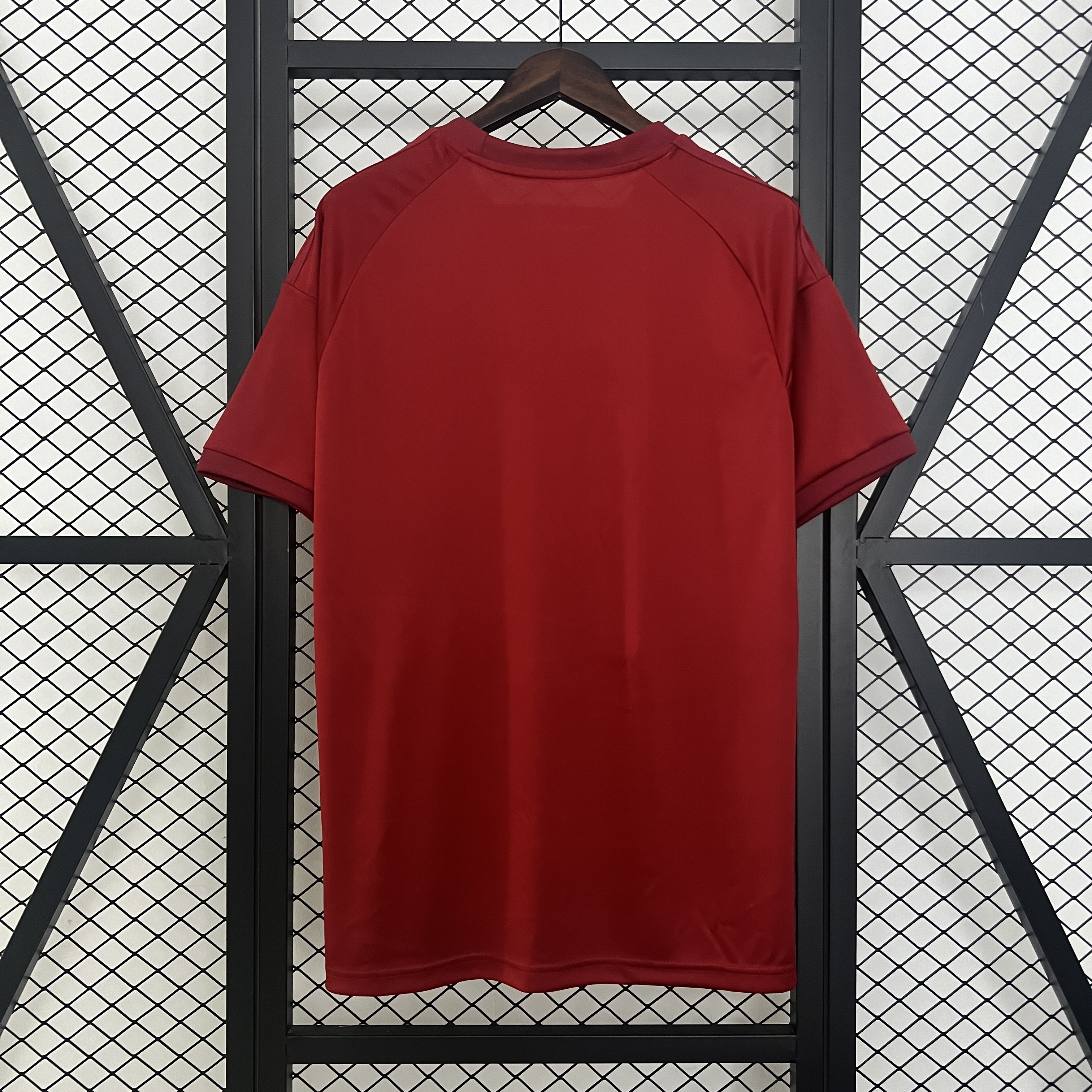 2024-25 Bayern Munich Special Edition S-XXL