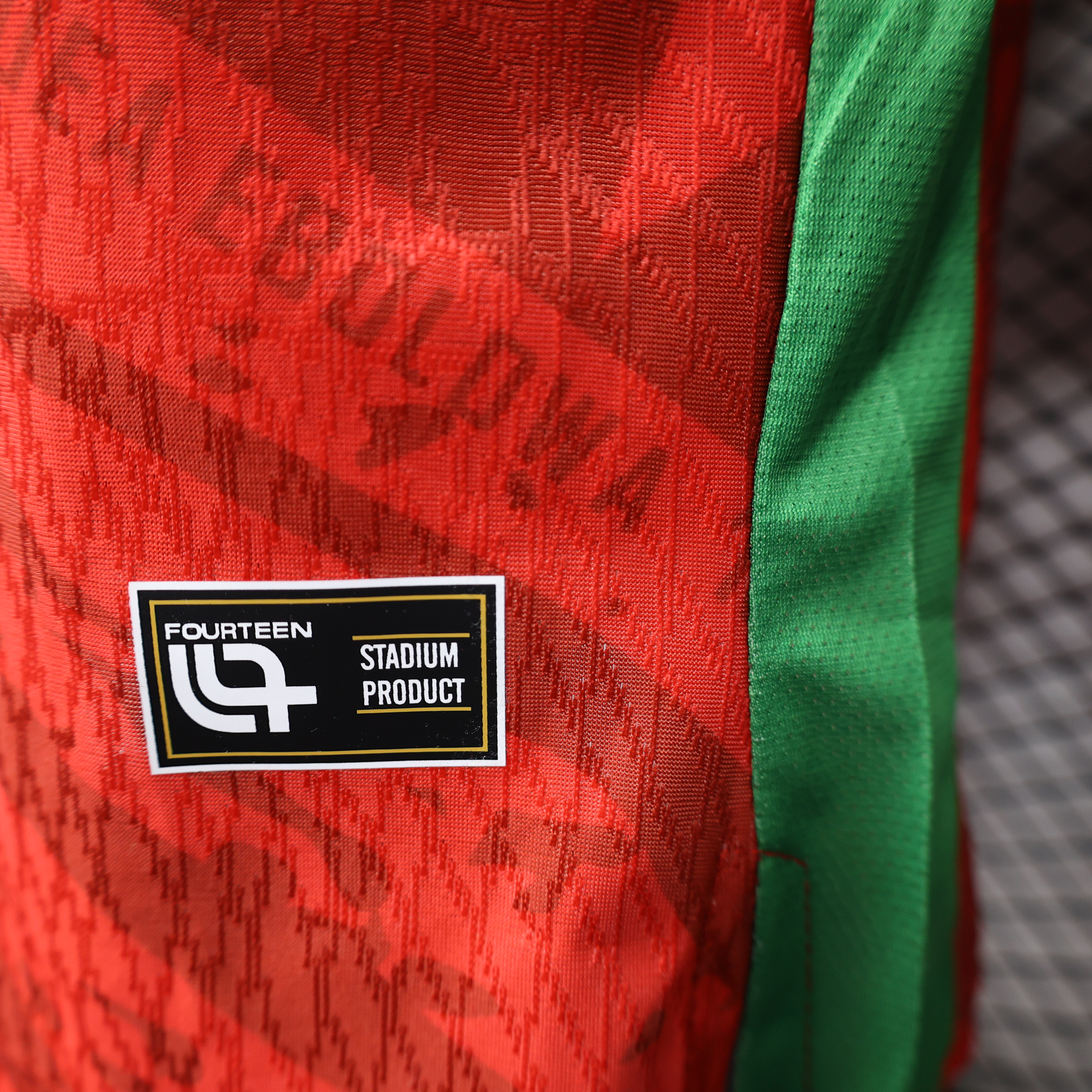 2025-26 Cameroon Special edition Jerseys Player edition :S-XXL