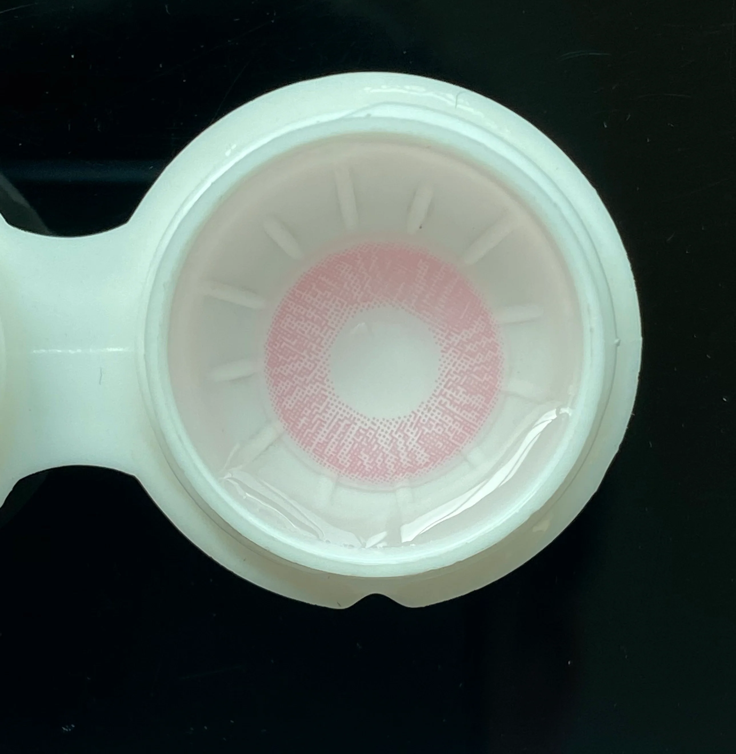 Lee Bible Pink Color Contact Lenses