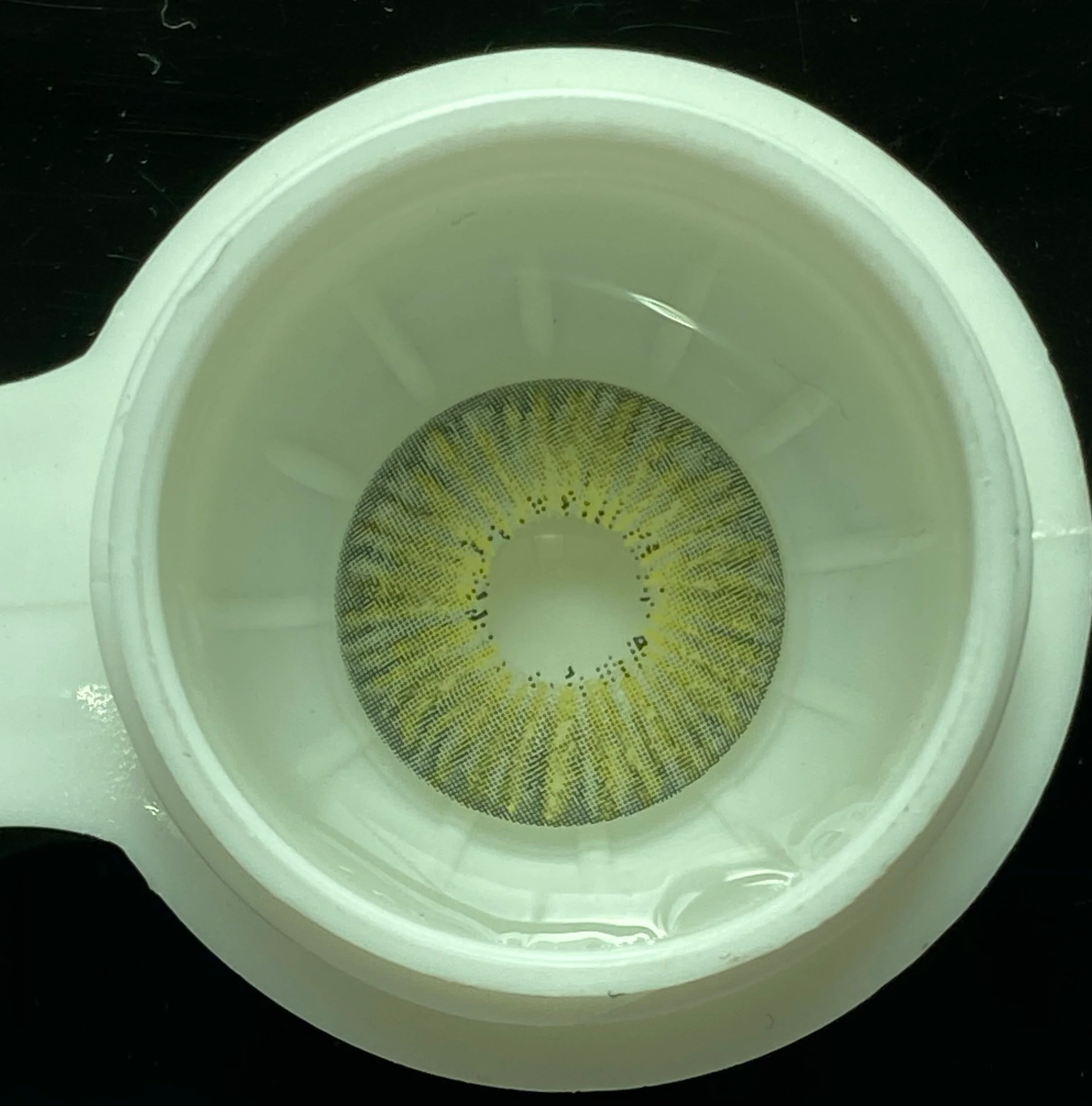 New York Grey Color Contact Lenses