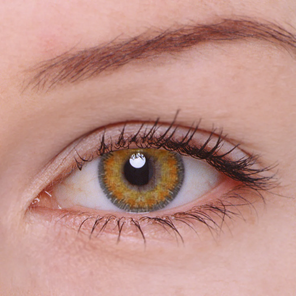 Venus Brown Color Contact Lenses