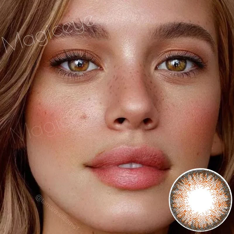 Egypt Brown Color Daily Disposable 10Pcs Contact Lenses 【Prescription】