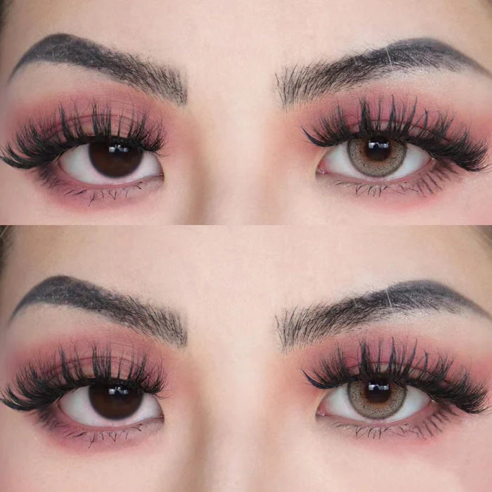 Rainbow Bassia Brown Color Contact Lenses【Prescription】