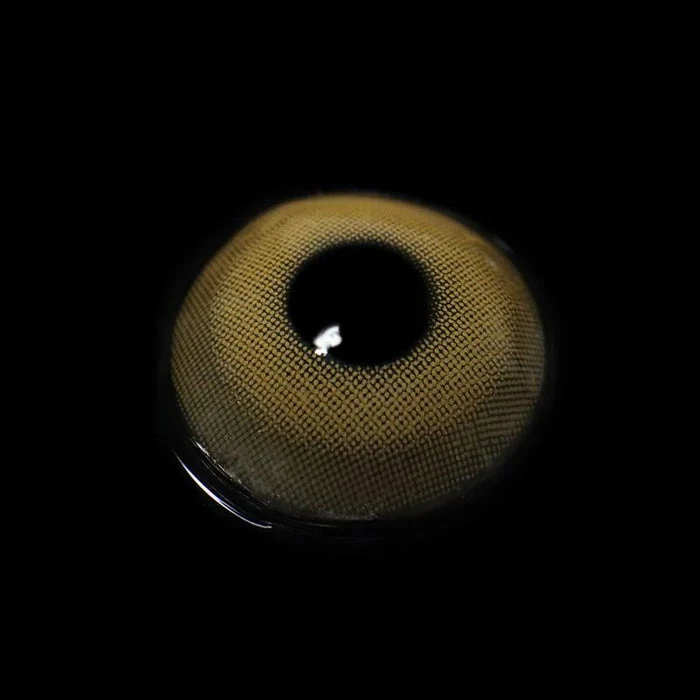 1-Day 10Pcs Pixie Brown Daily Disposable 10Pcs Color Contact Lenses