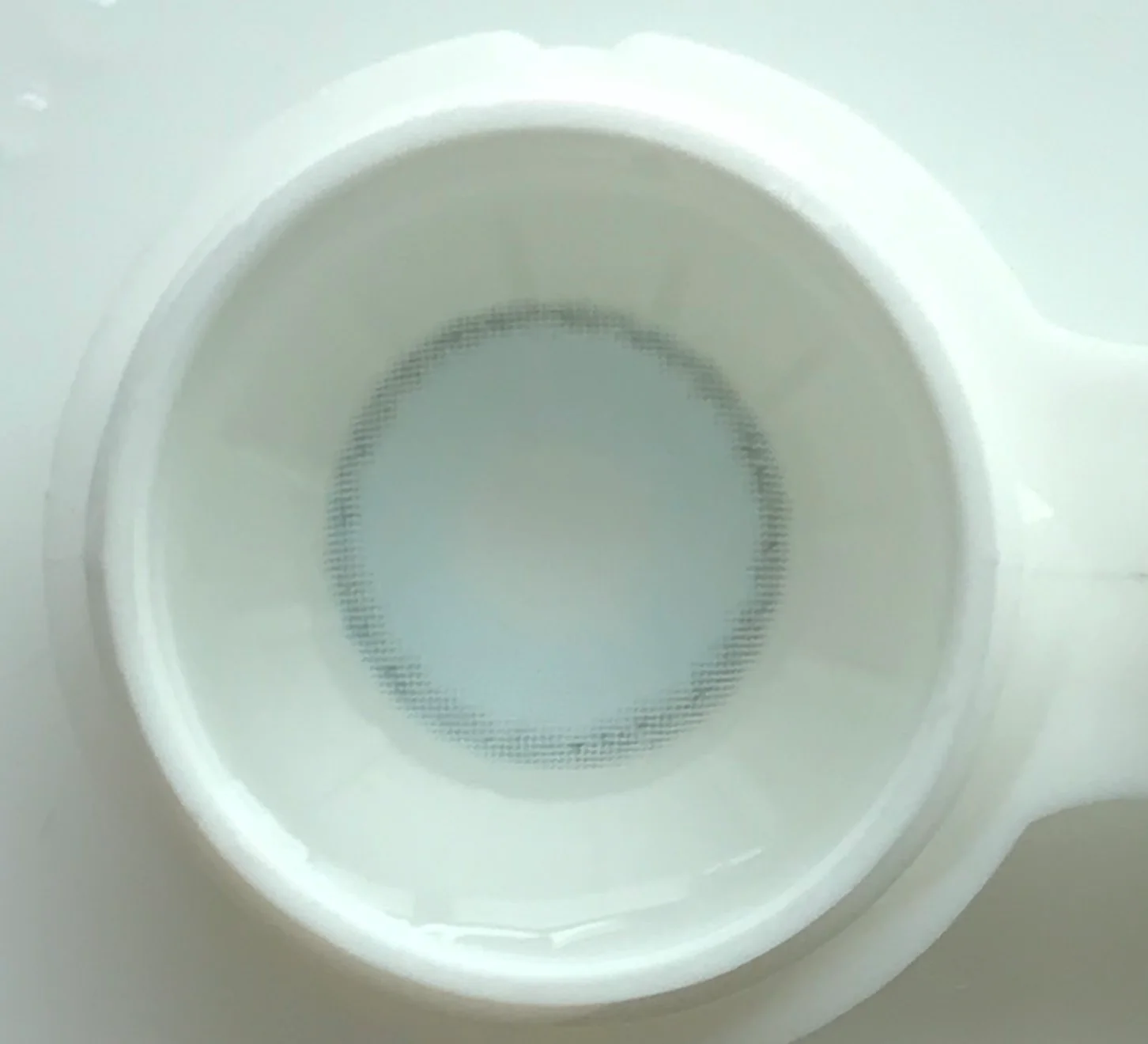 Rainbow Bassia Blue Color Contact Lenses