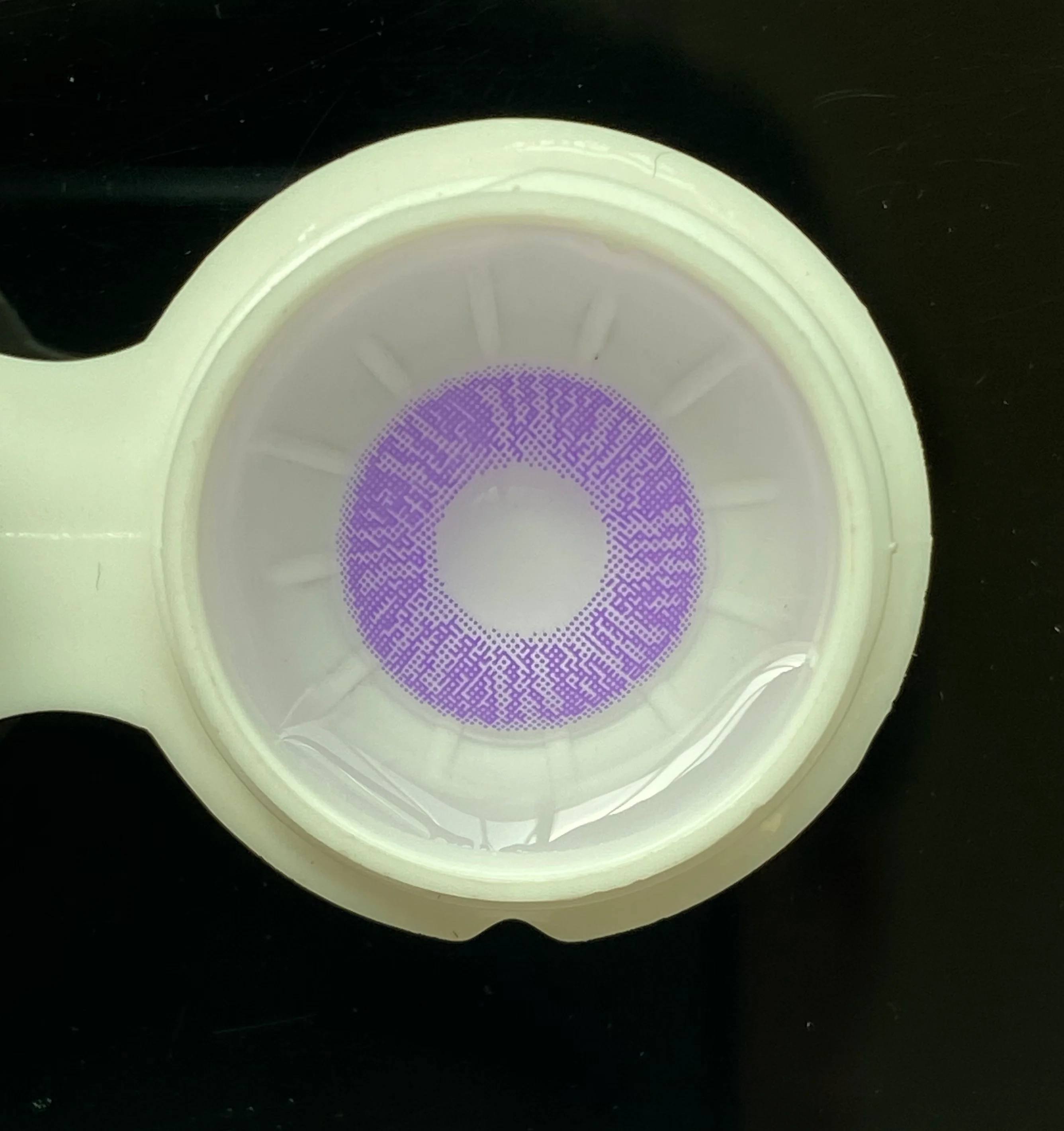 Lee Bible Purple Color Contact Lenses