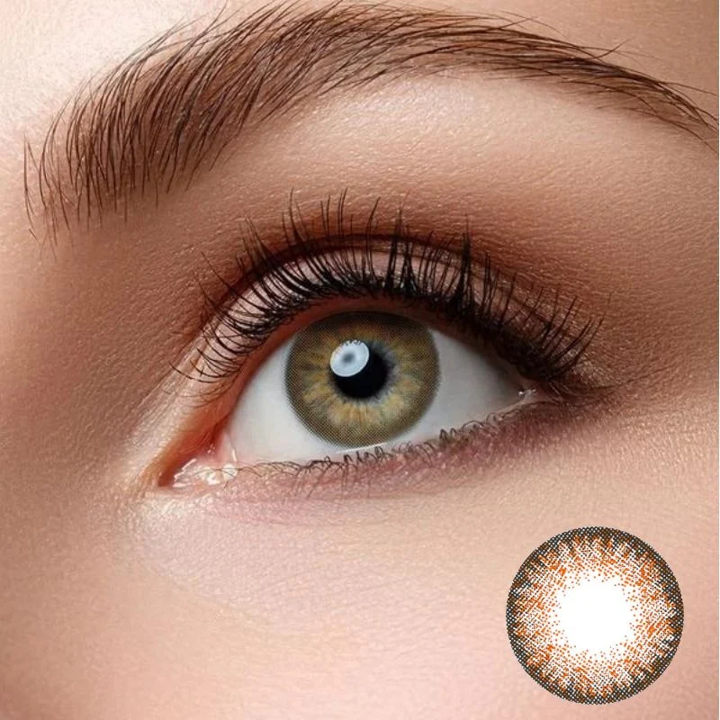 Egypt Brown Color Daily Disposable 10Pcs Contact Lenses 【Prescription】