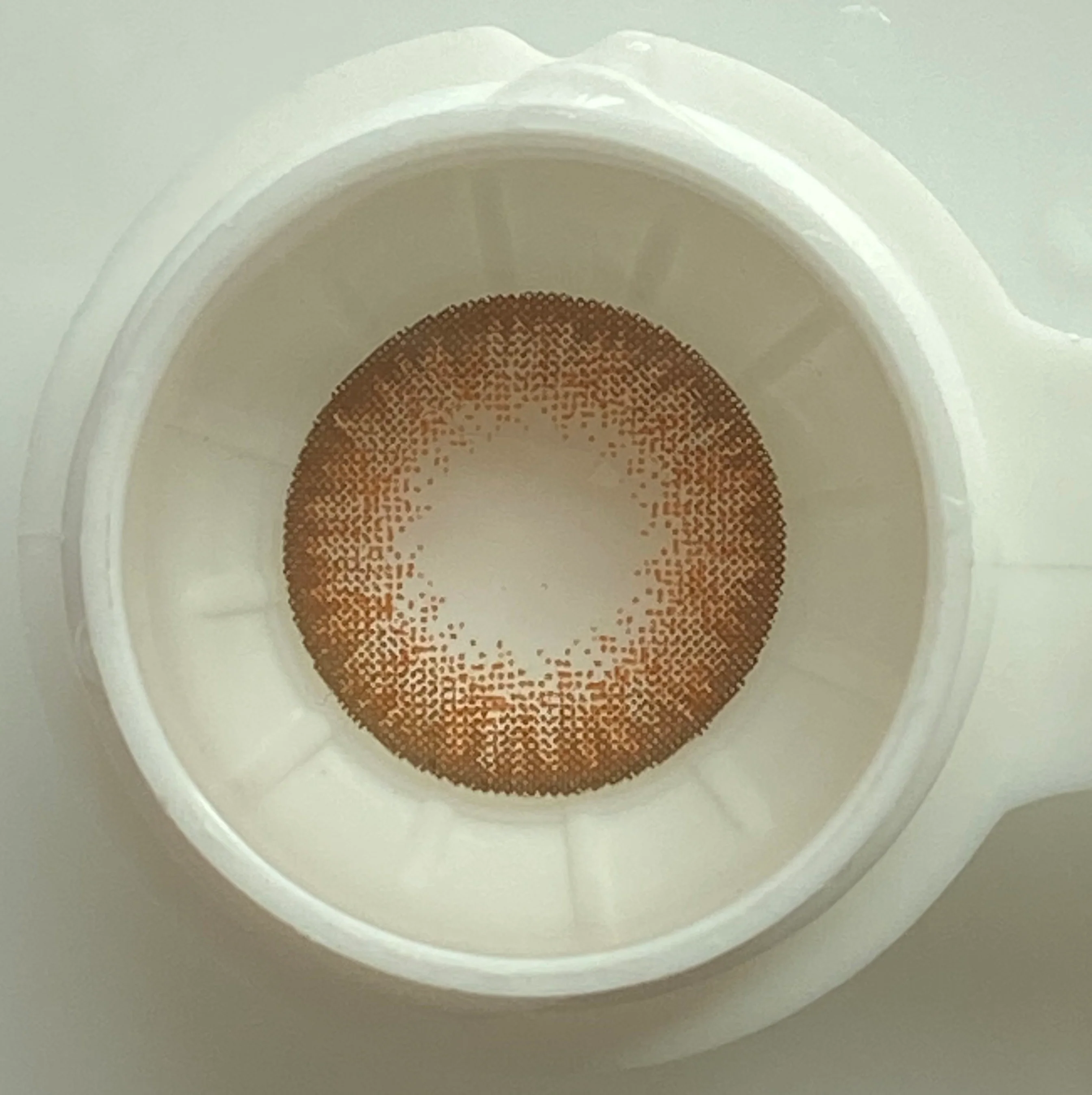 Egypt Brown Color Daily Disposable 10Pcs Contact Lenses 【Prescription】