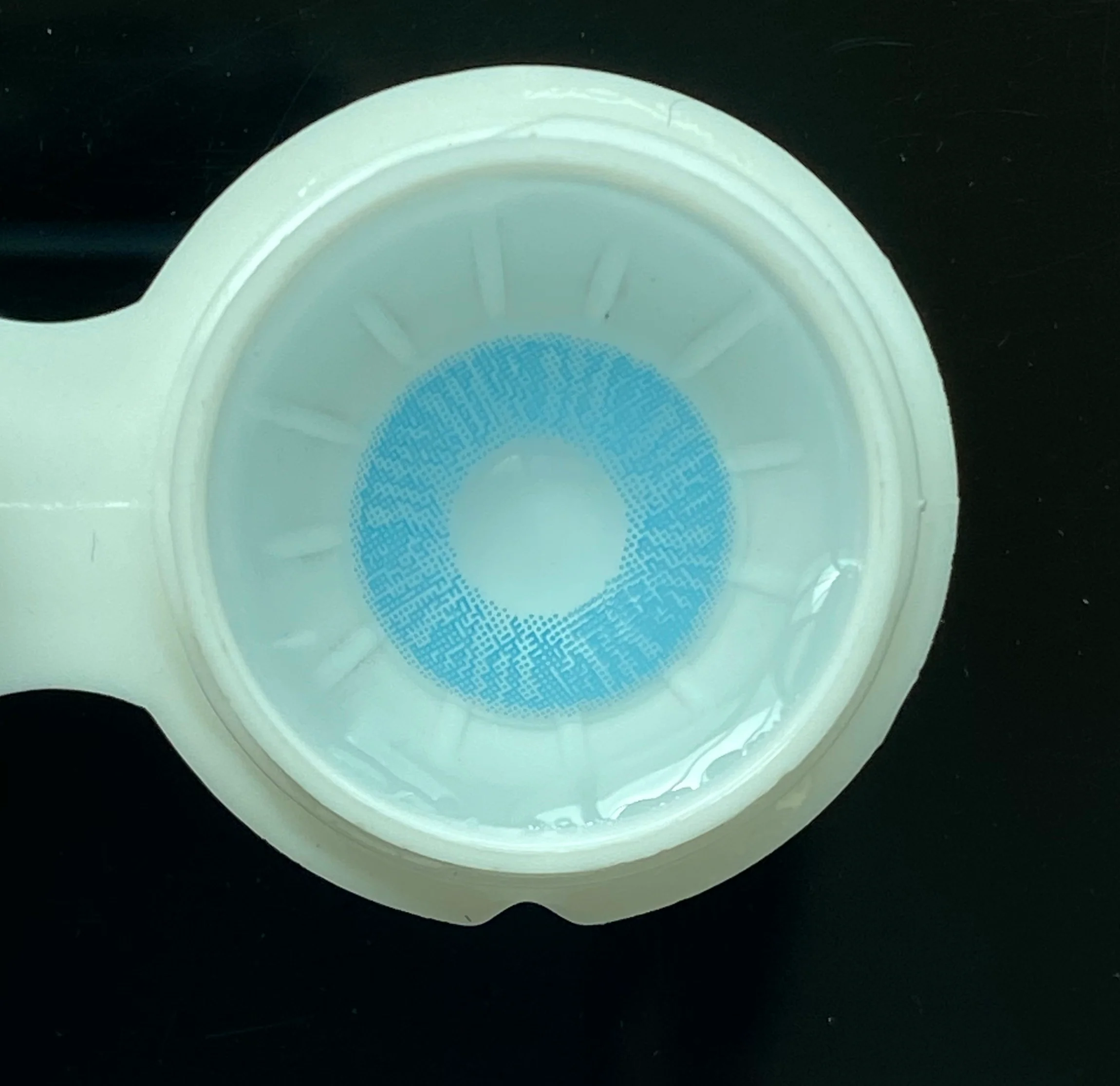 1-Day 10Pcs Lee Bible Blue Daily Disposable 10Pcs Color Contact Lenses