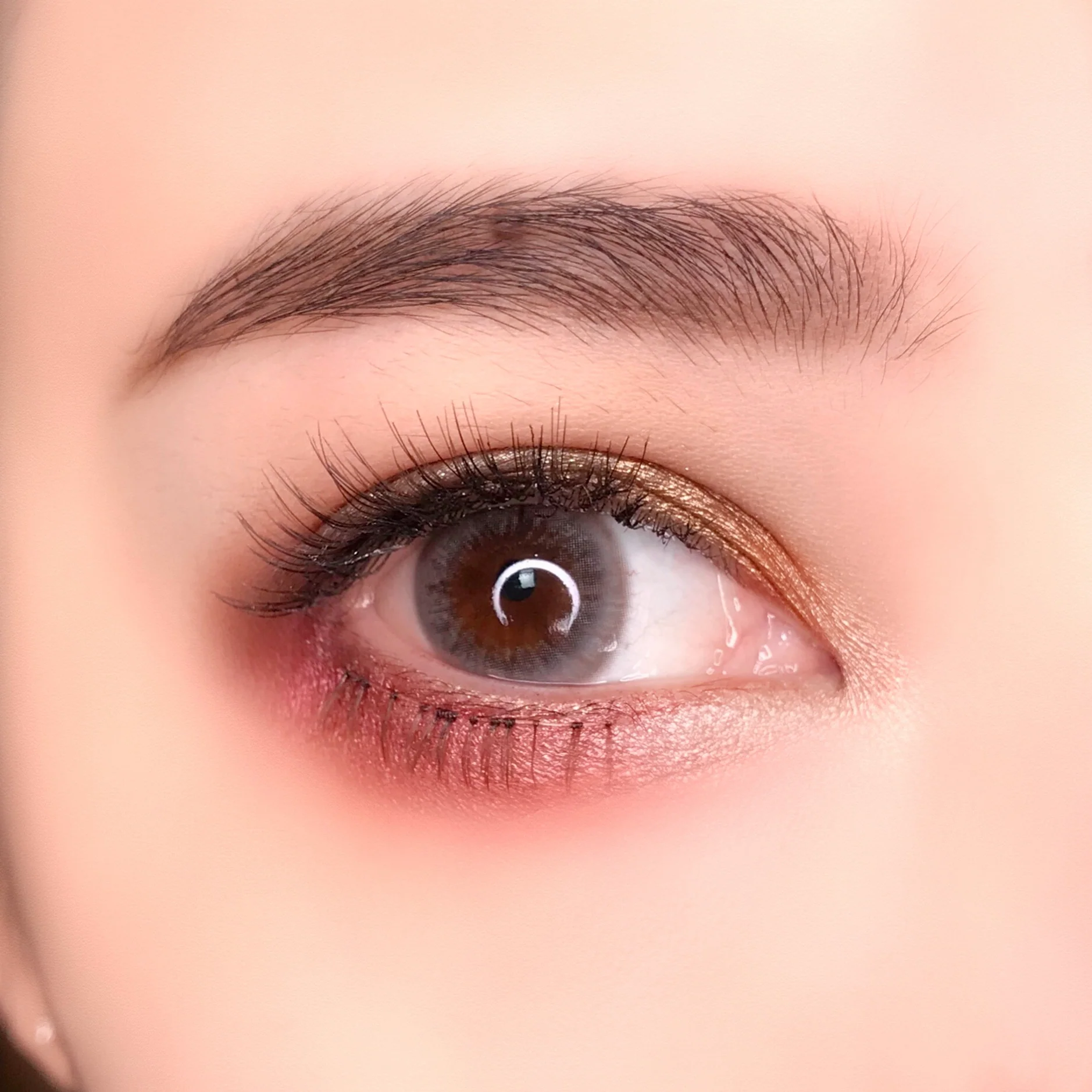 Mermaid Gold Gray Colored Contact Lenses