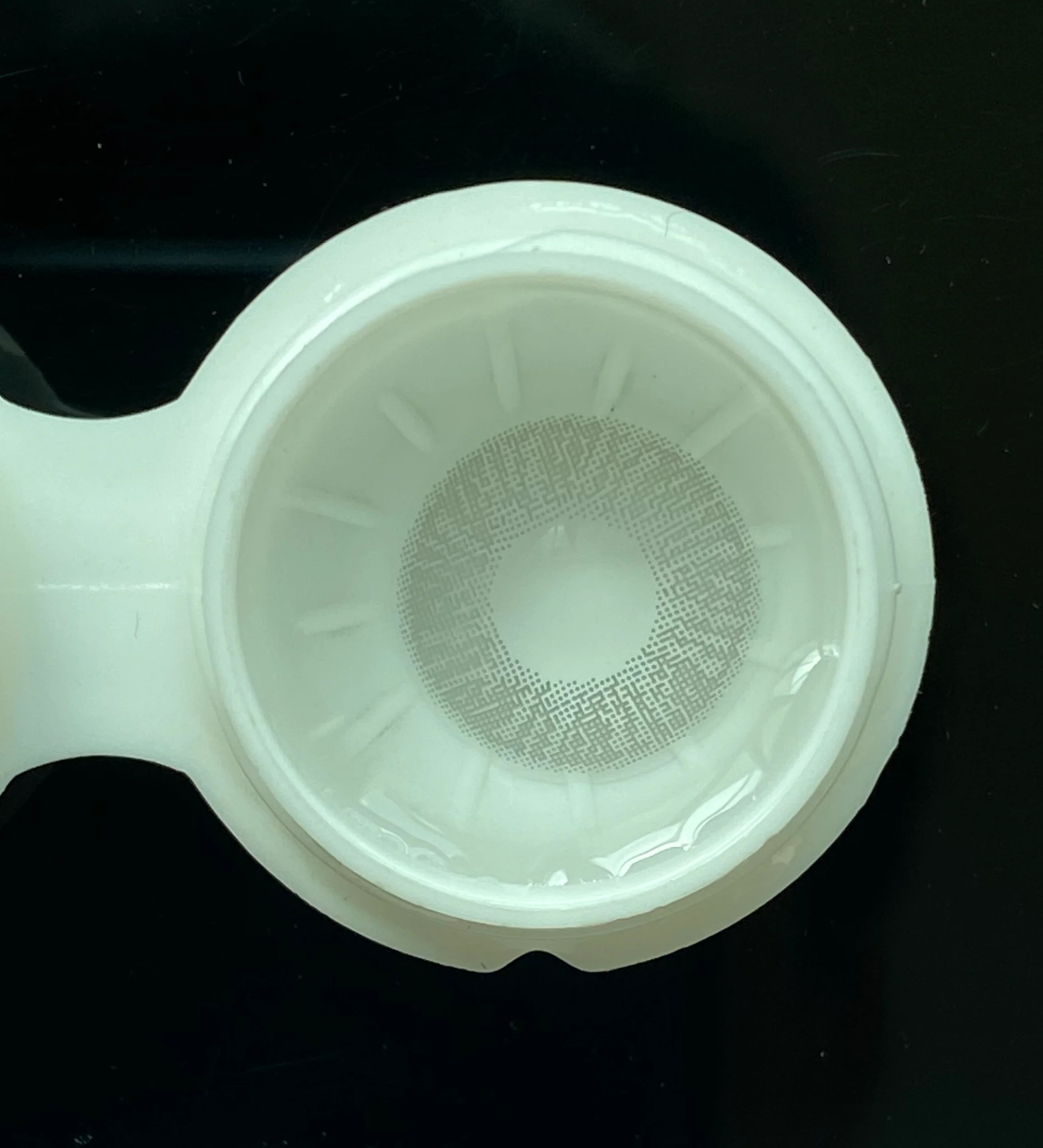 【HOT】Lee Bible Grey Daily Disposable 10Pcs Color Contact Lenses